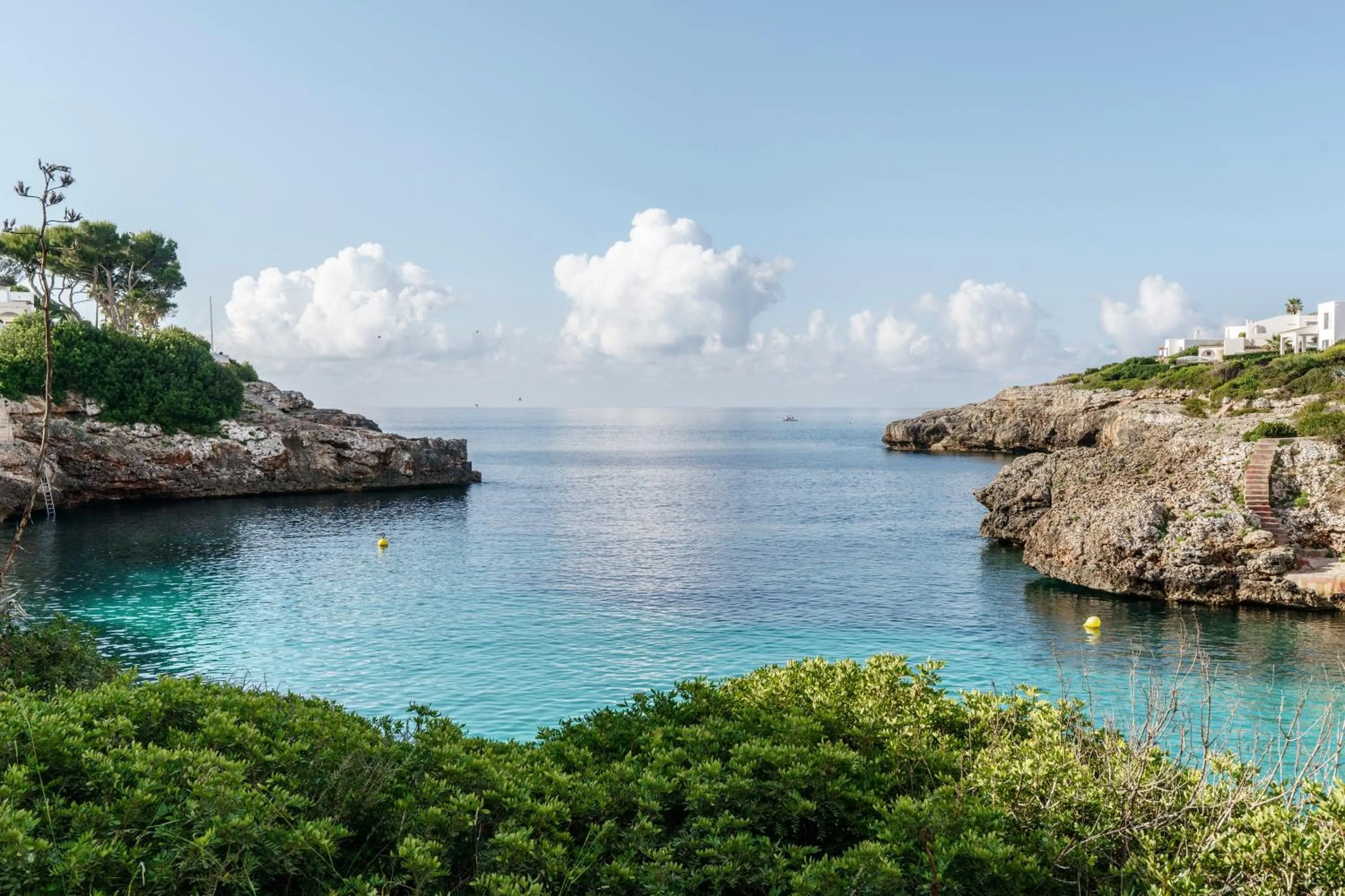 View (from property/room) in AluaSoul Mallorca Resort - Adults only