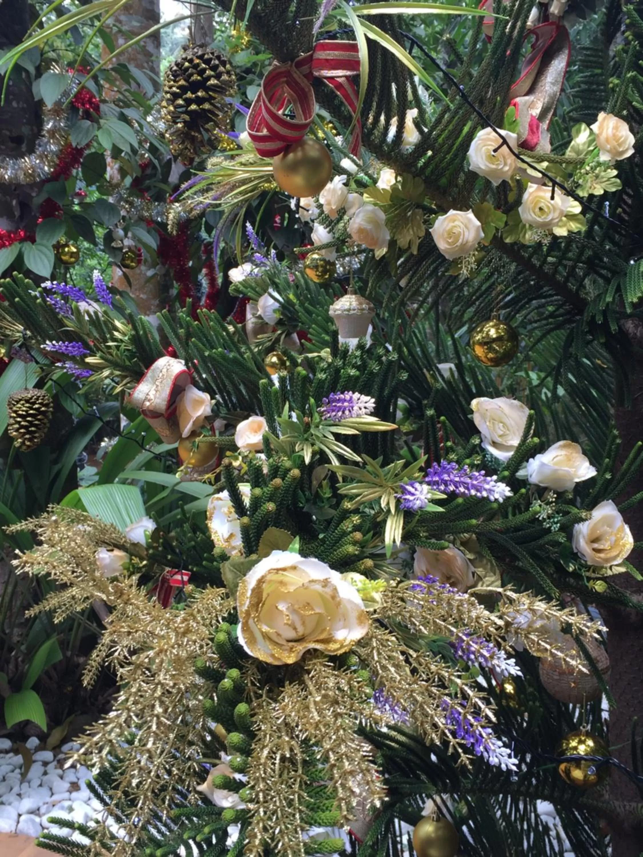 Patio in Le leopard d 'argent