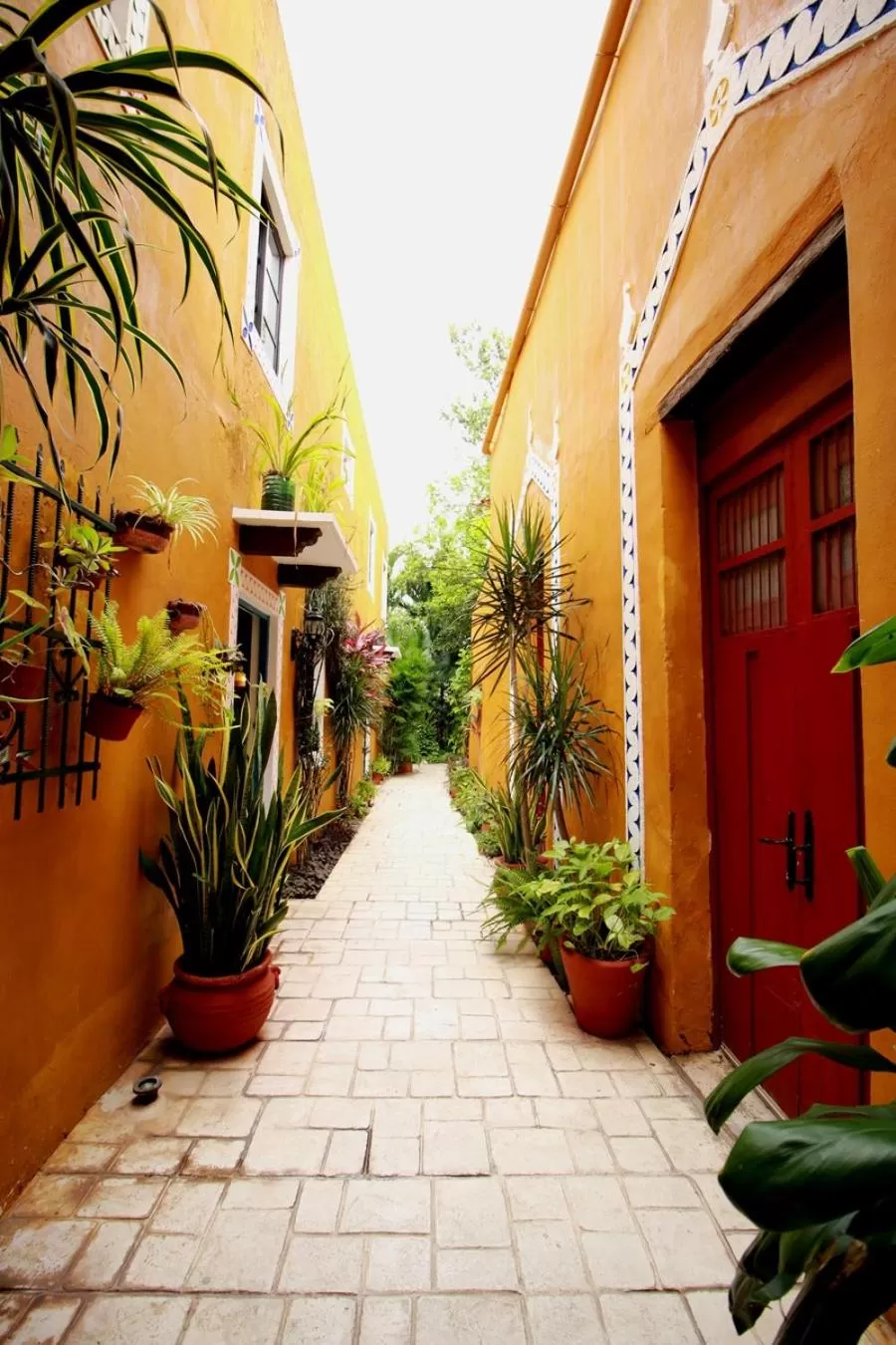 View (from property/room) in Casa Tia Micha