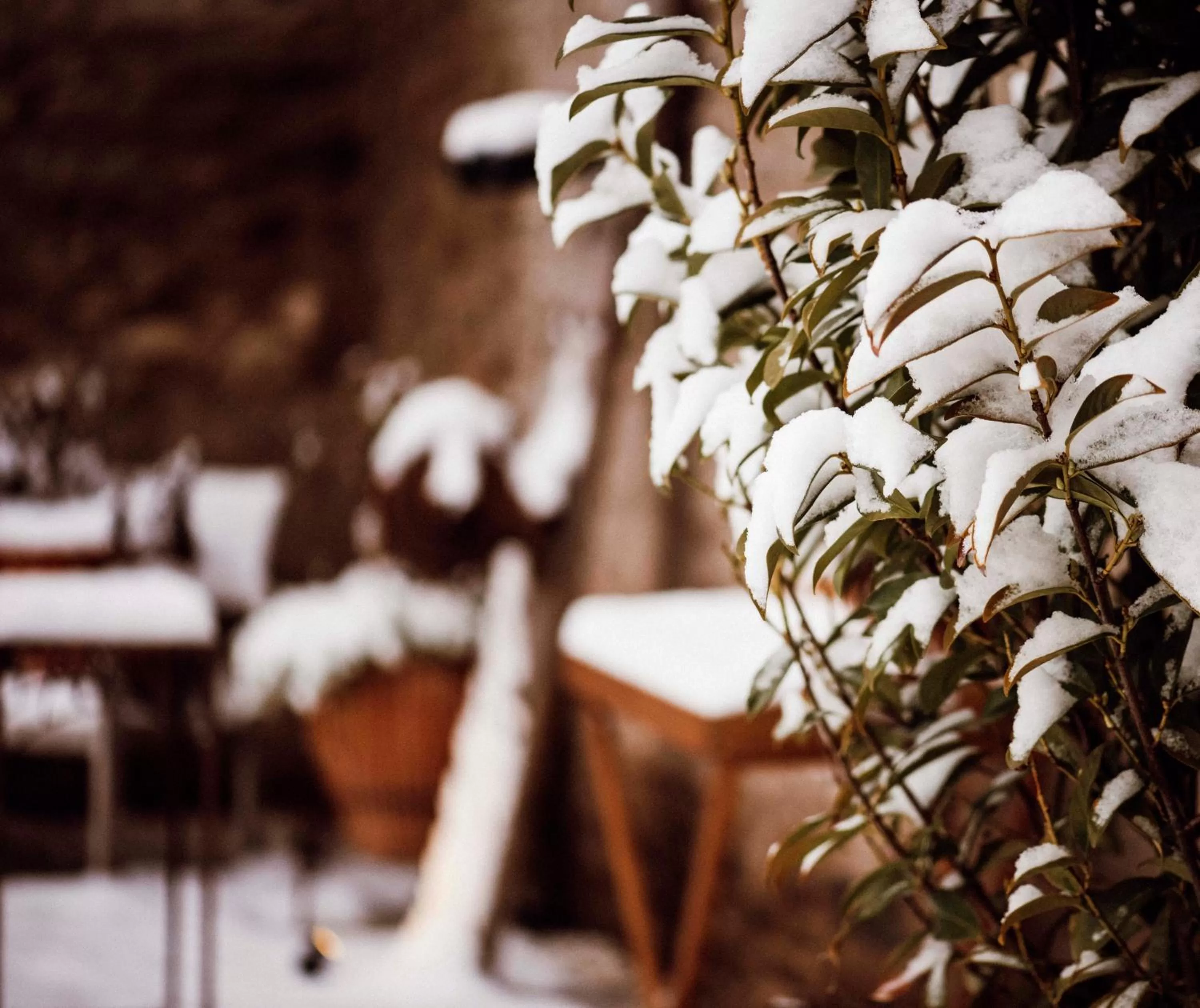 Landhaus Halferschenke