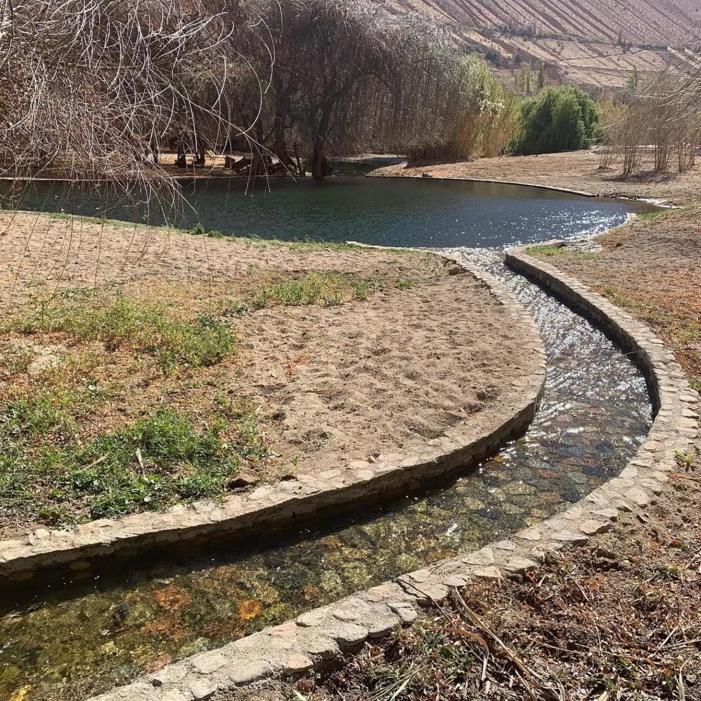 Swimming pool in Glamping Miraflores
