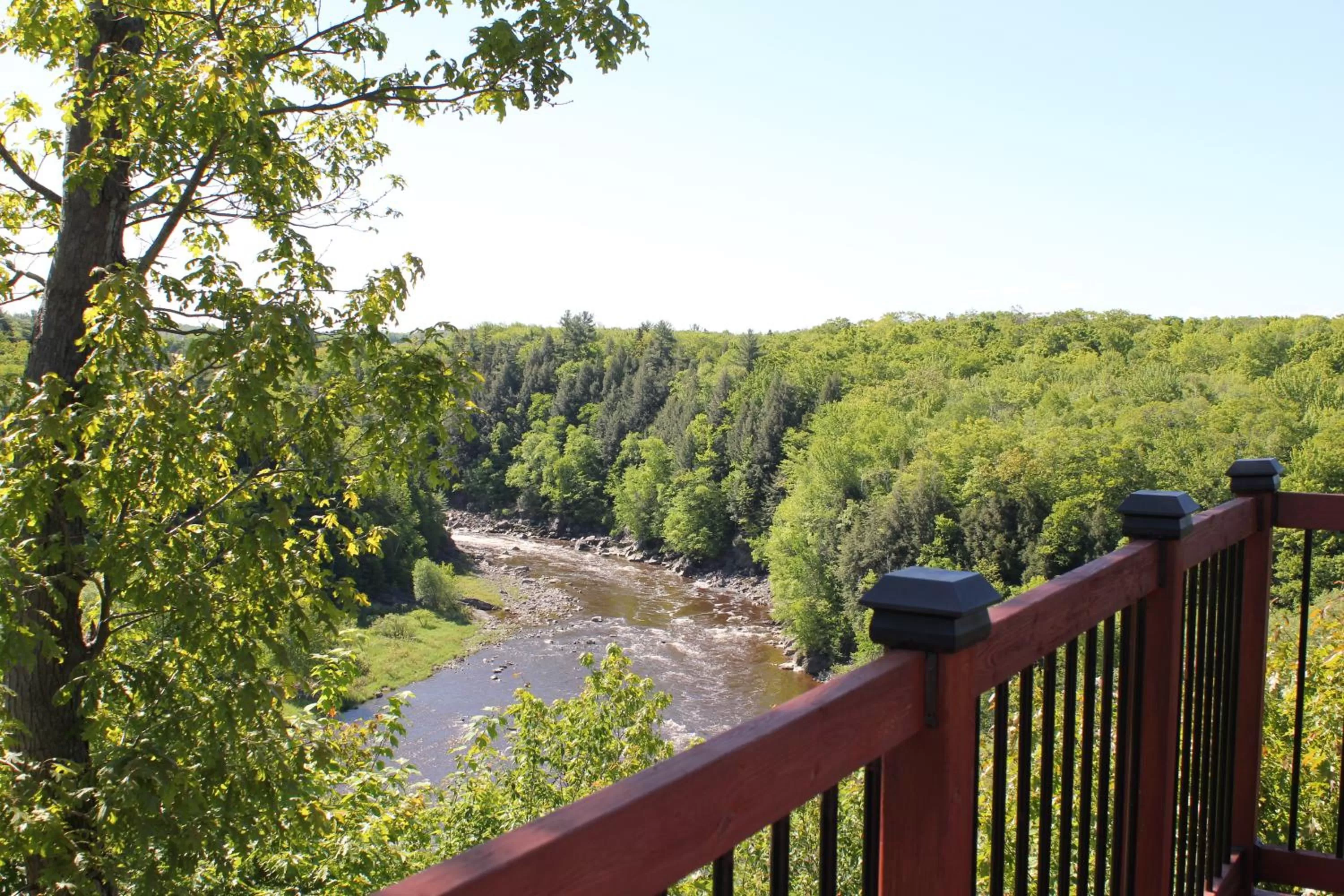 View (from property/room) in Motel et Camping Etchemin
