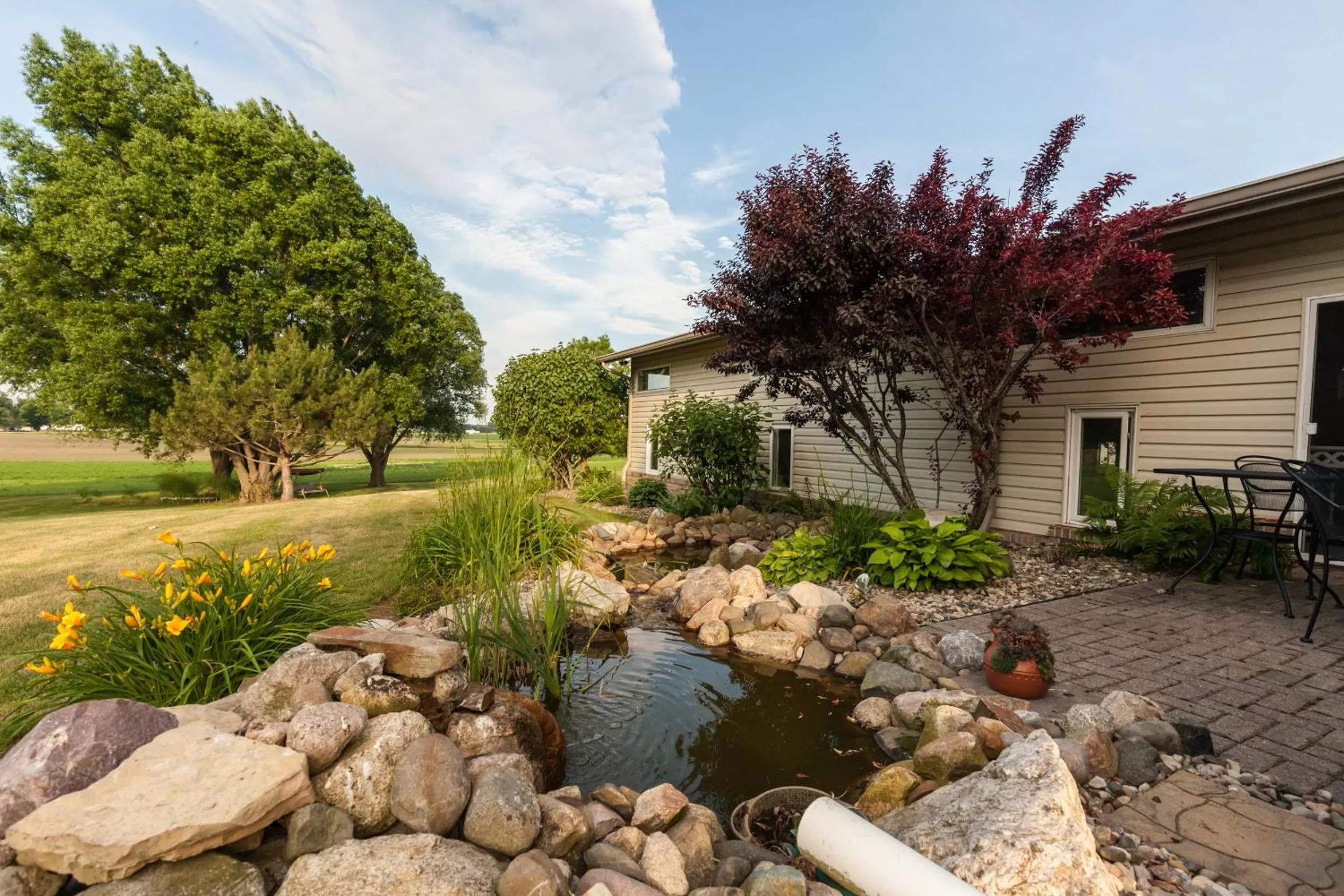 Pets, Patio/Outdoor Area in Scottish Bed & Breakfast