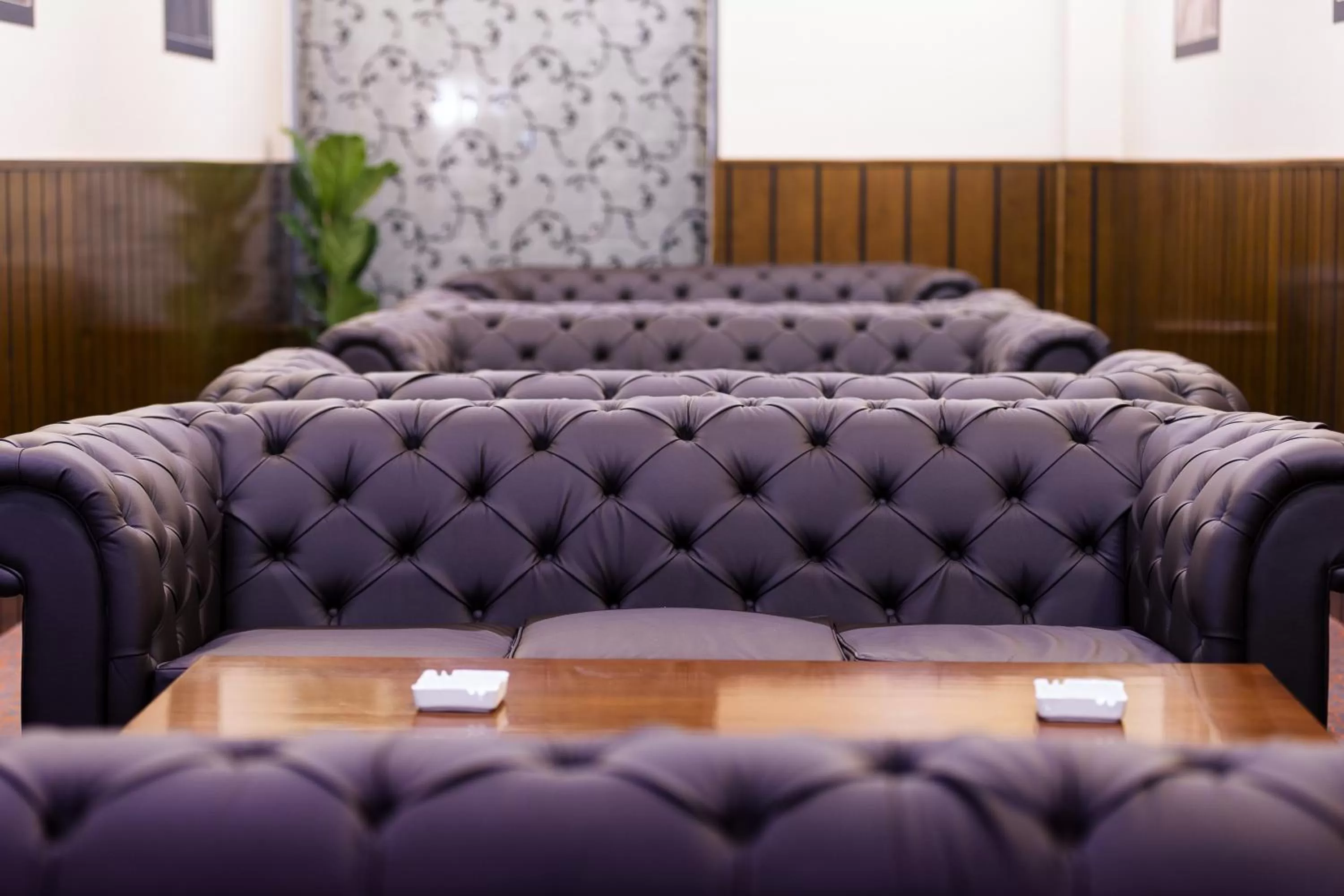 Lounge or bar in Hotel Transilvania