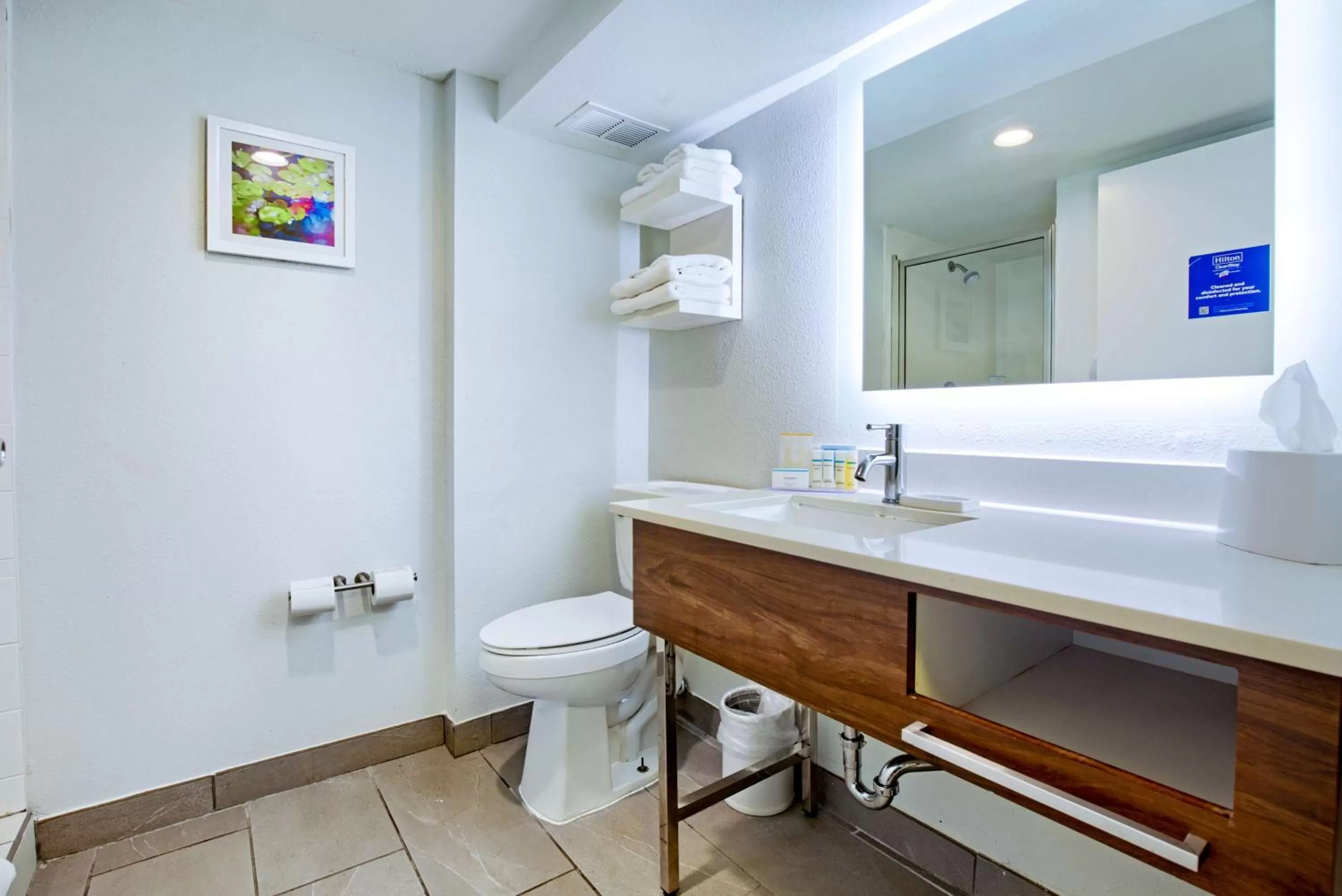 Bathroom in Hampton Inn Slidell