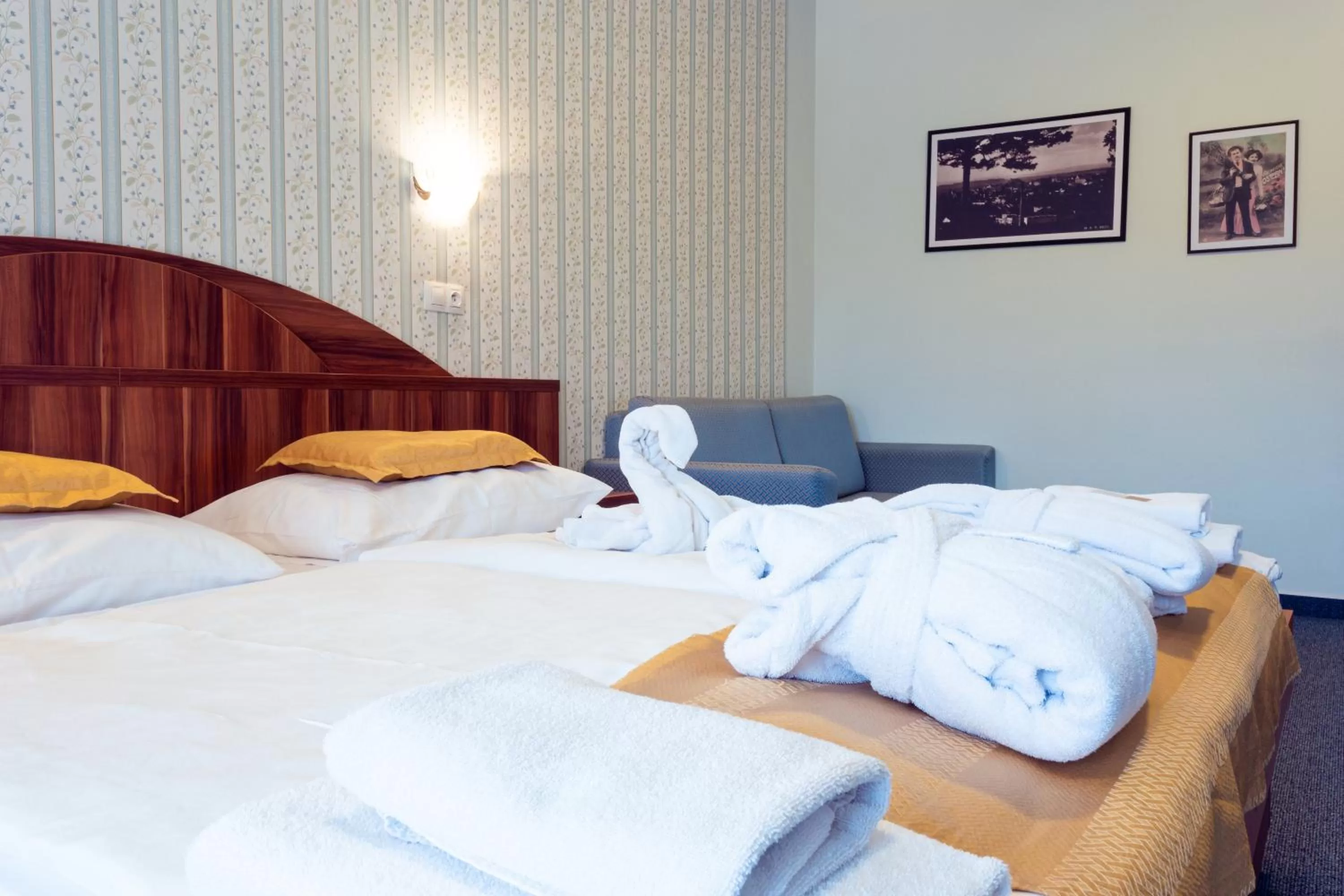 Bed in Hotel Studanka