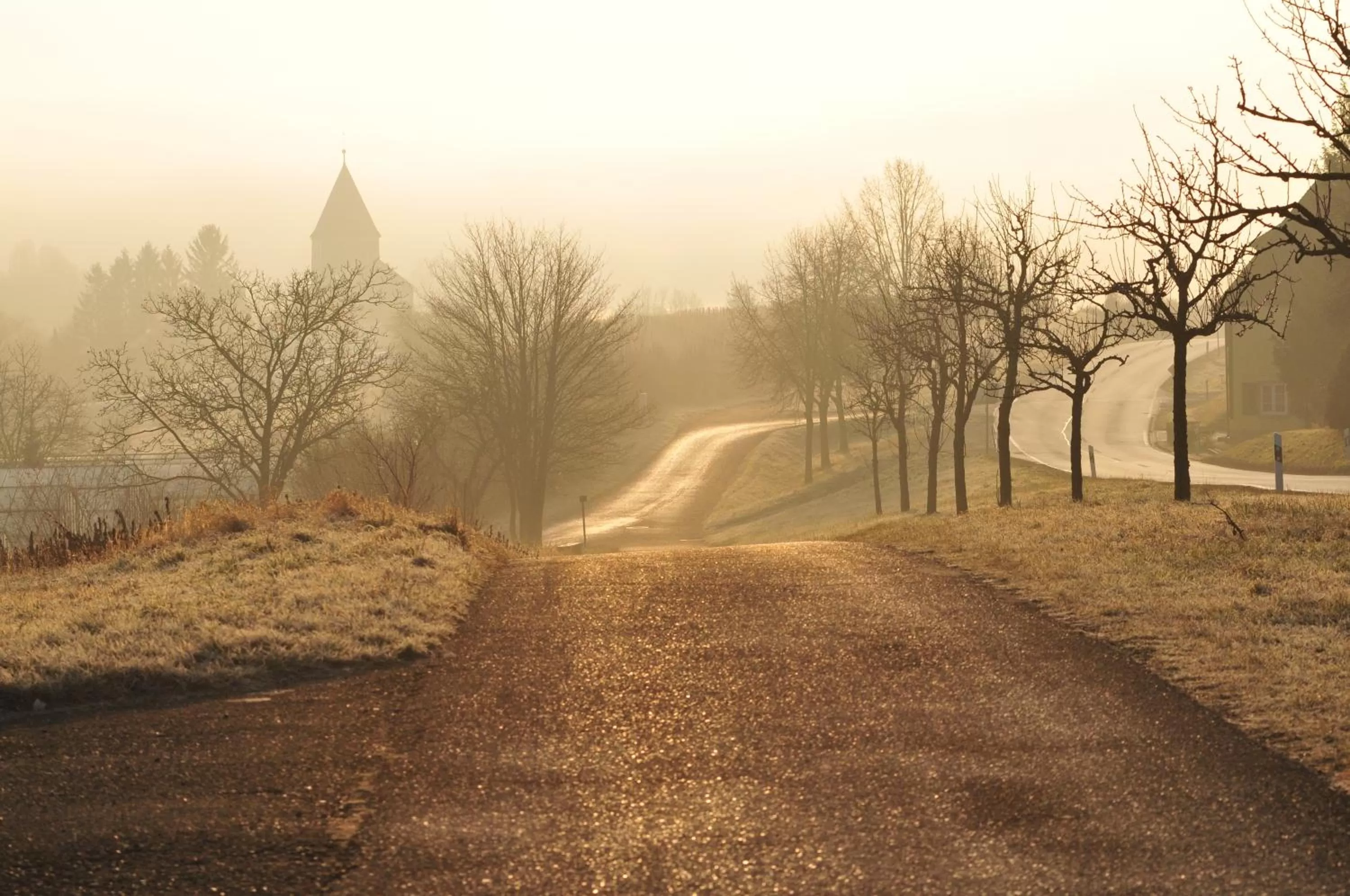Natural landscape in Hotel mein inselglück