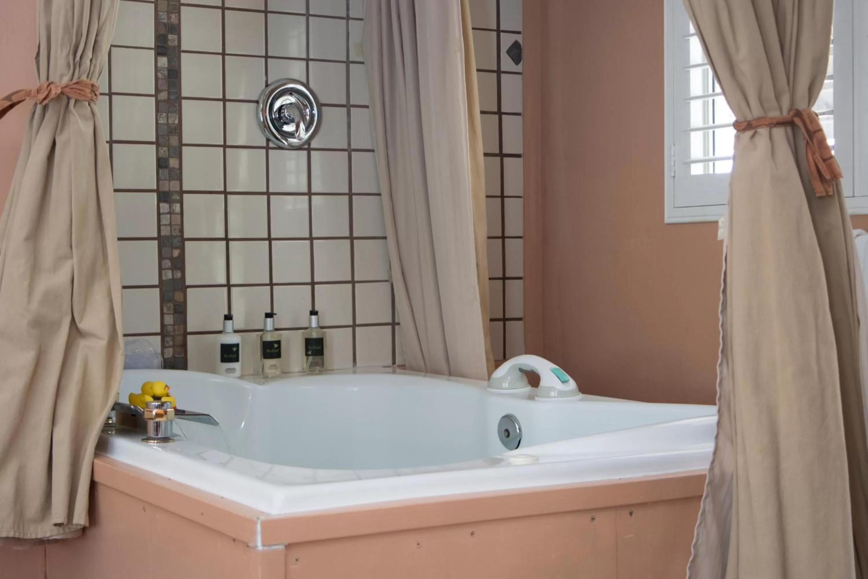 Hot Tub in Palm Springs Rendezvous