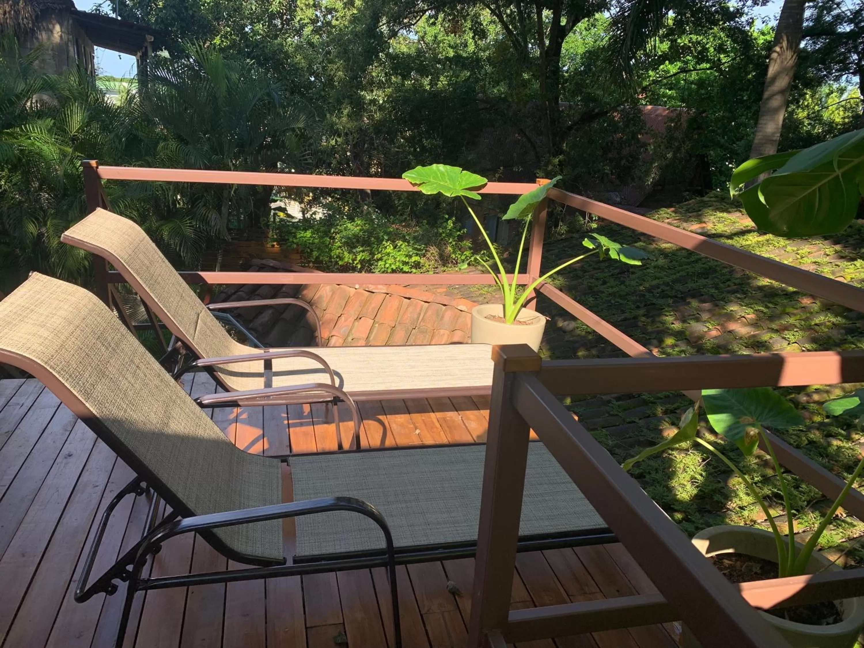 Balcony/Terrace in The Beach Bungalows - Yoga and Surf Hotel - Adults Only