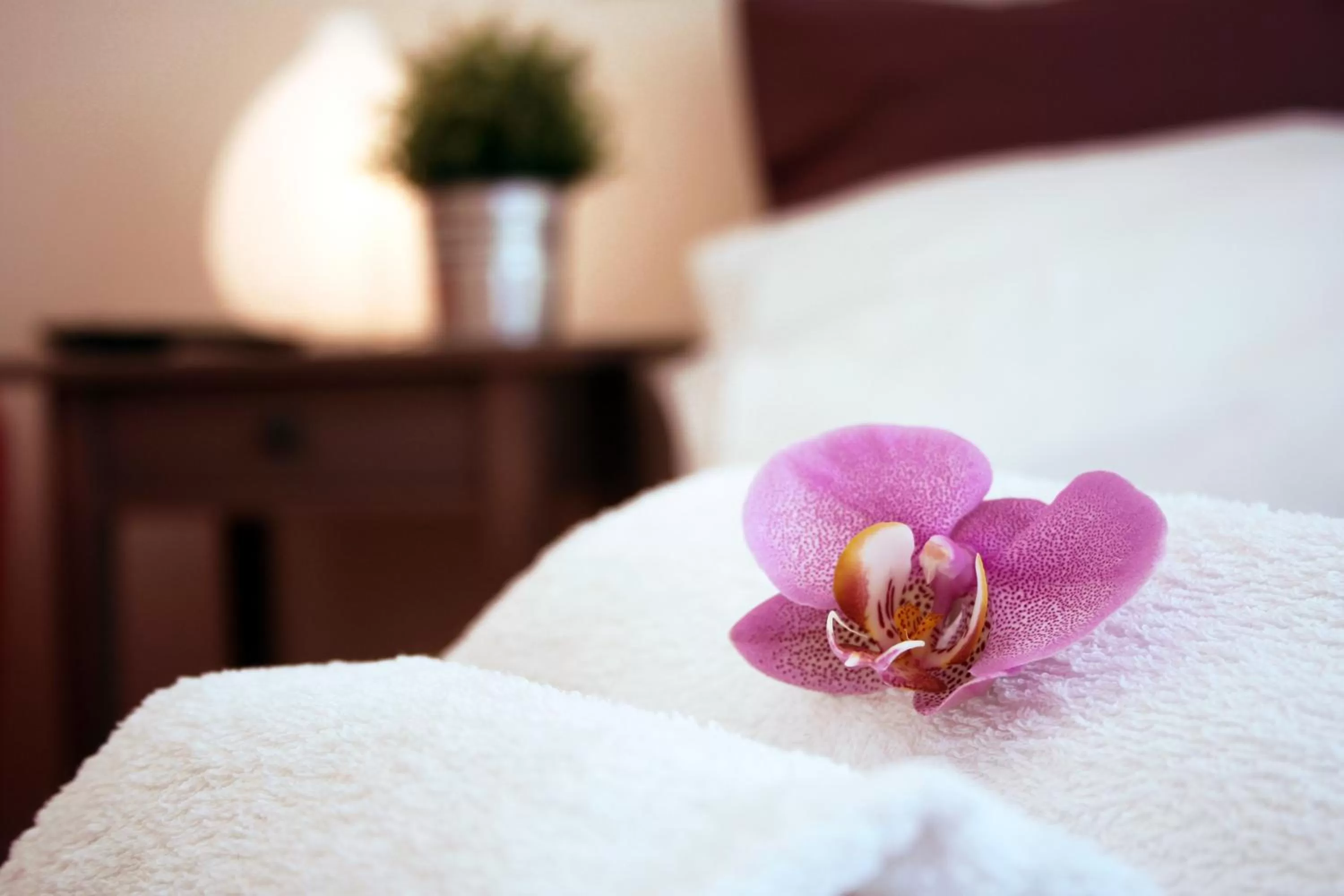 Decorative detail, Bed in Bye Bye Roma Pantheon Suite