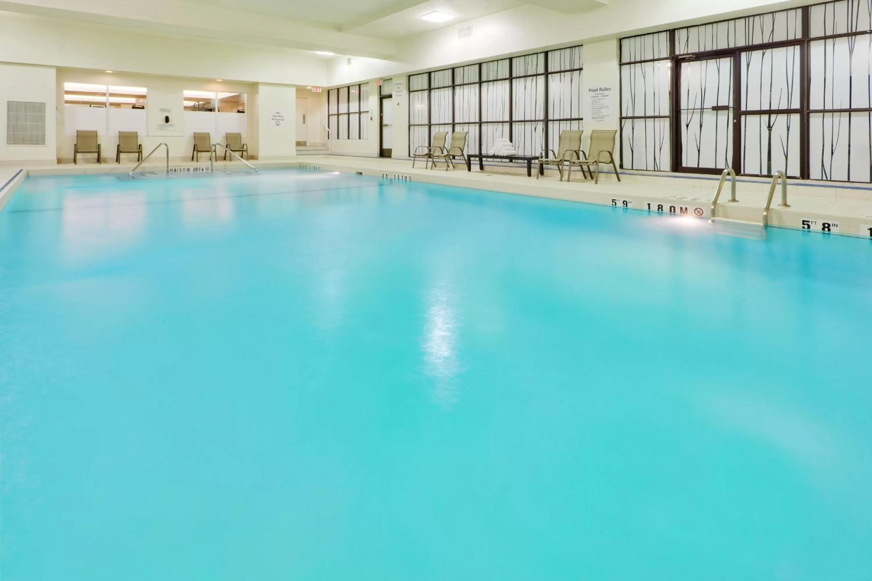 Swimming pool in Holiday Inn Toronto Downtown Centre by IHG