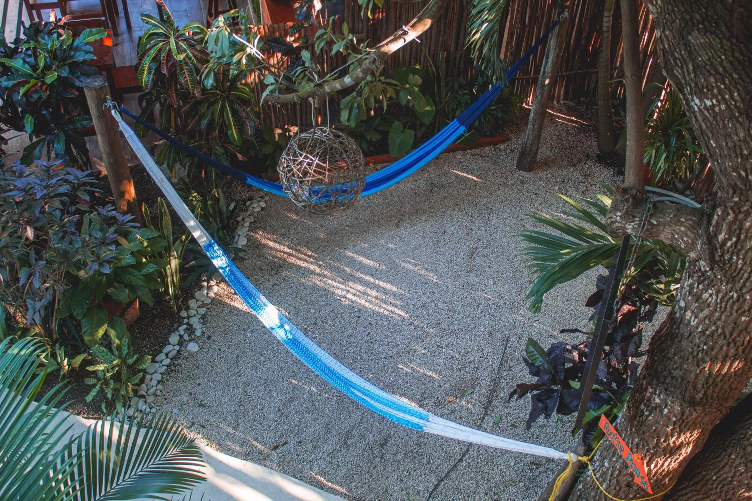 Area and facilities in Azul 36 Hotel