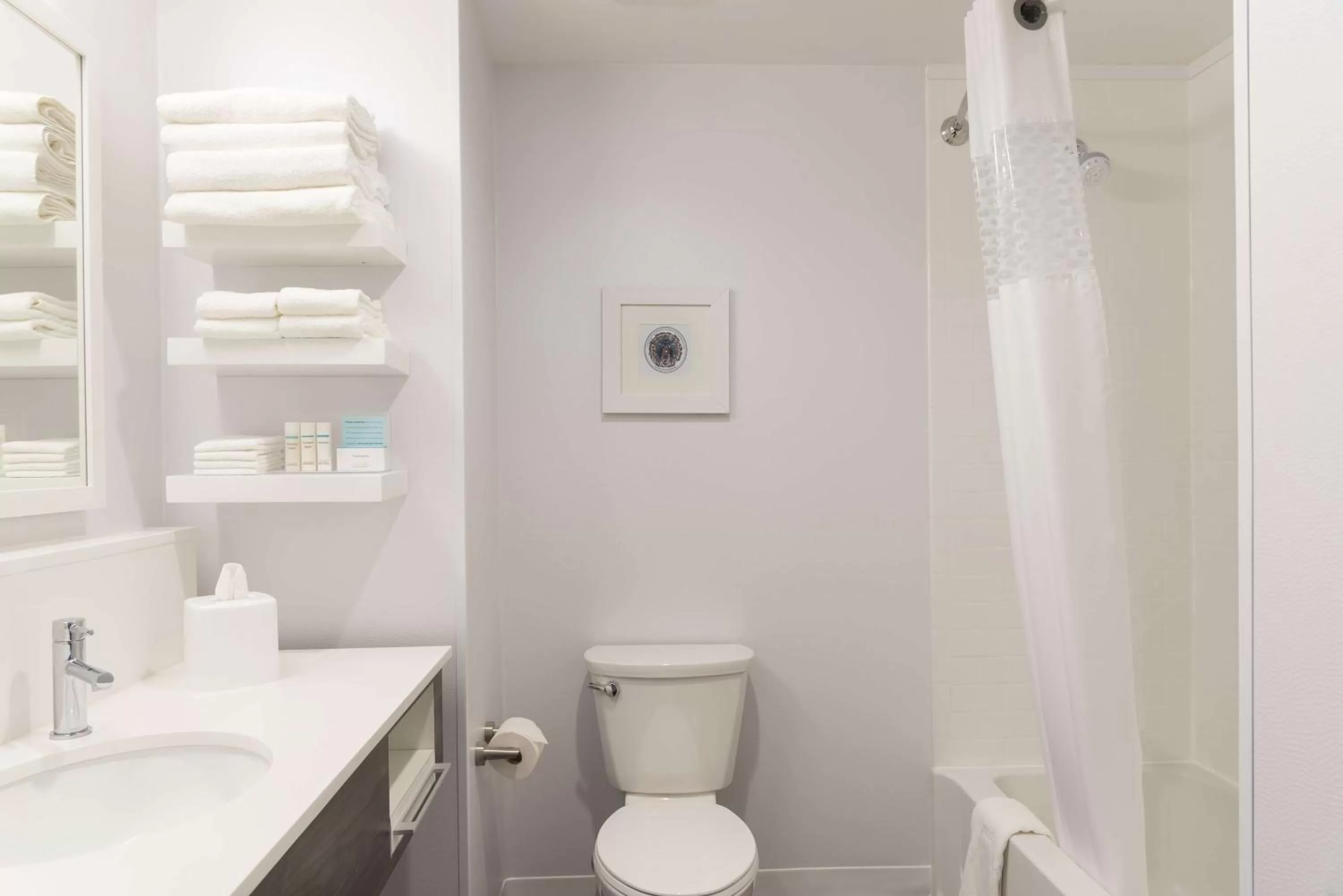 Bathroom in Hampton Inn & Suites by Hilton Chicago Schaumburg IL