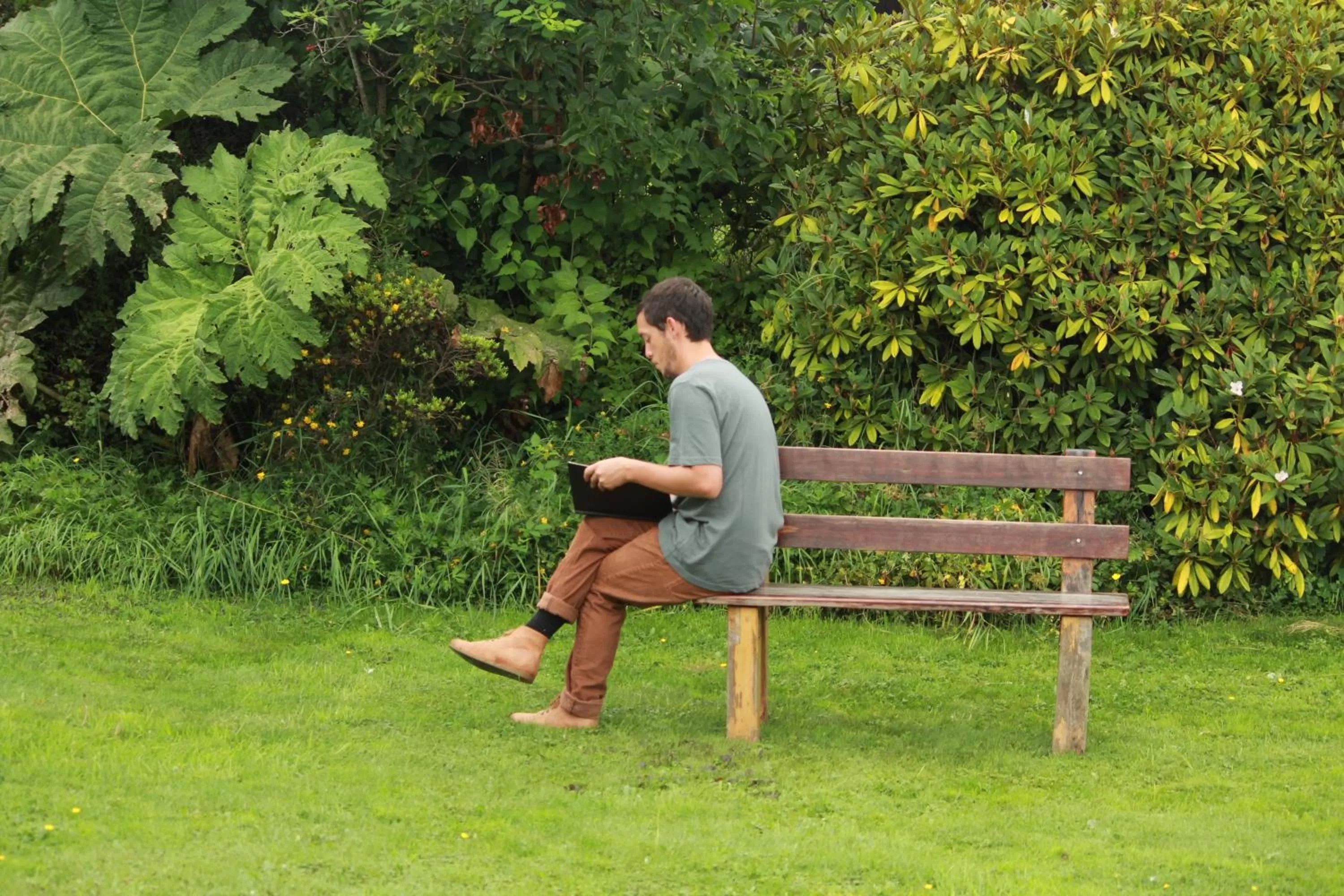 Natural landscape in Hotel Boutique Casa Werner