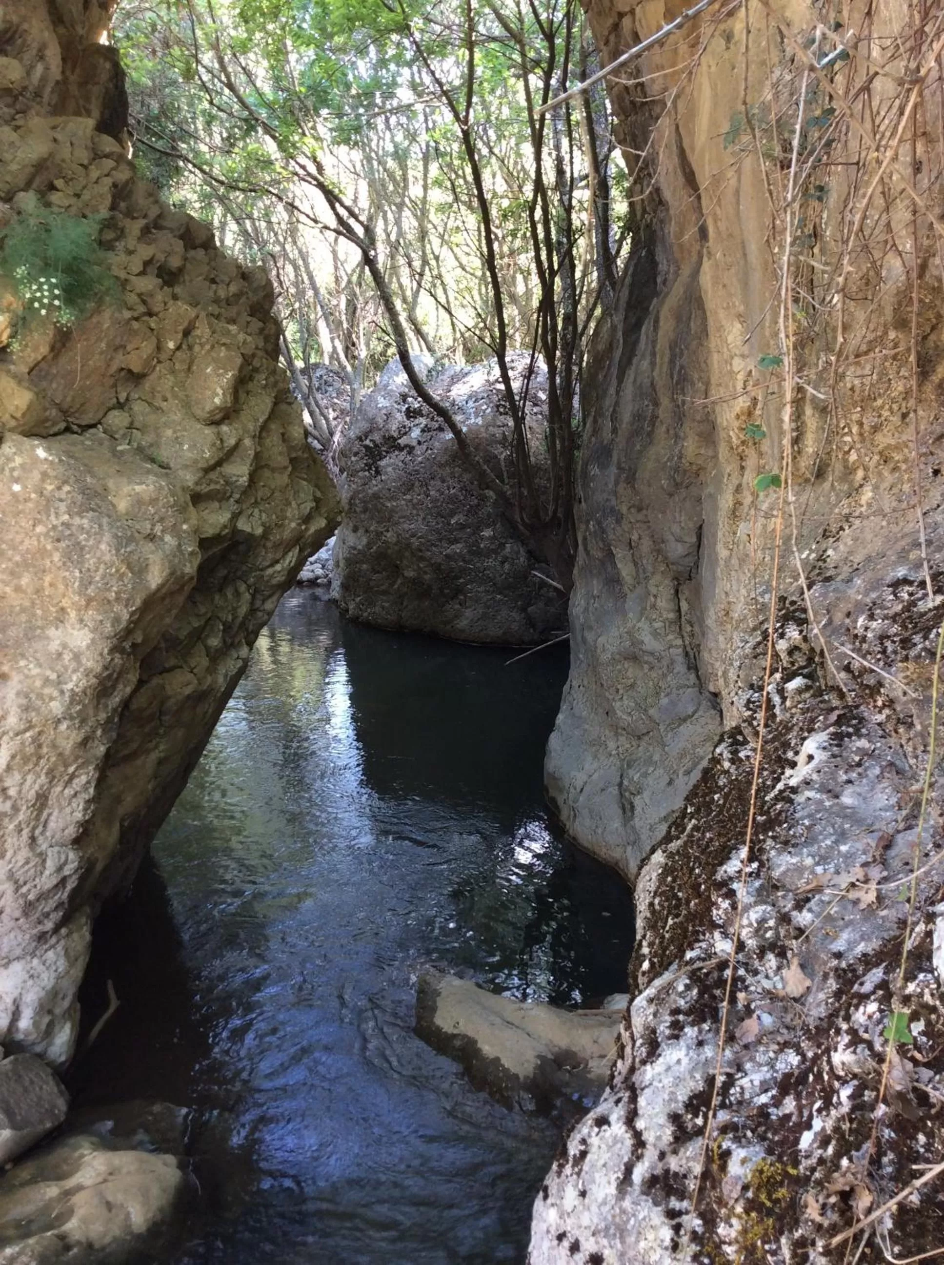 Natural landscape in La Casa del Pittore di Petralia