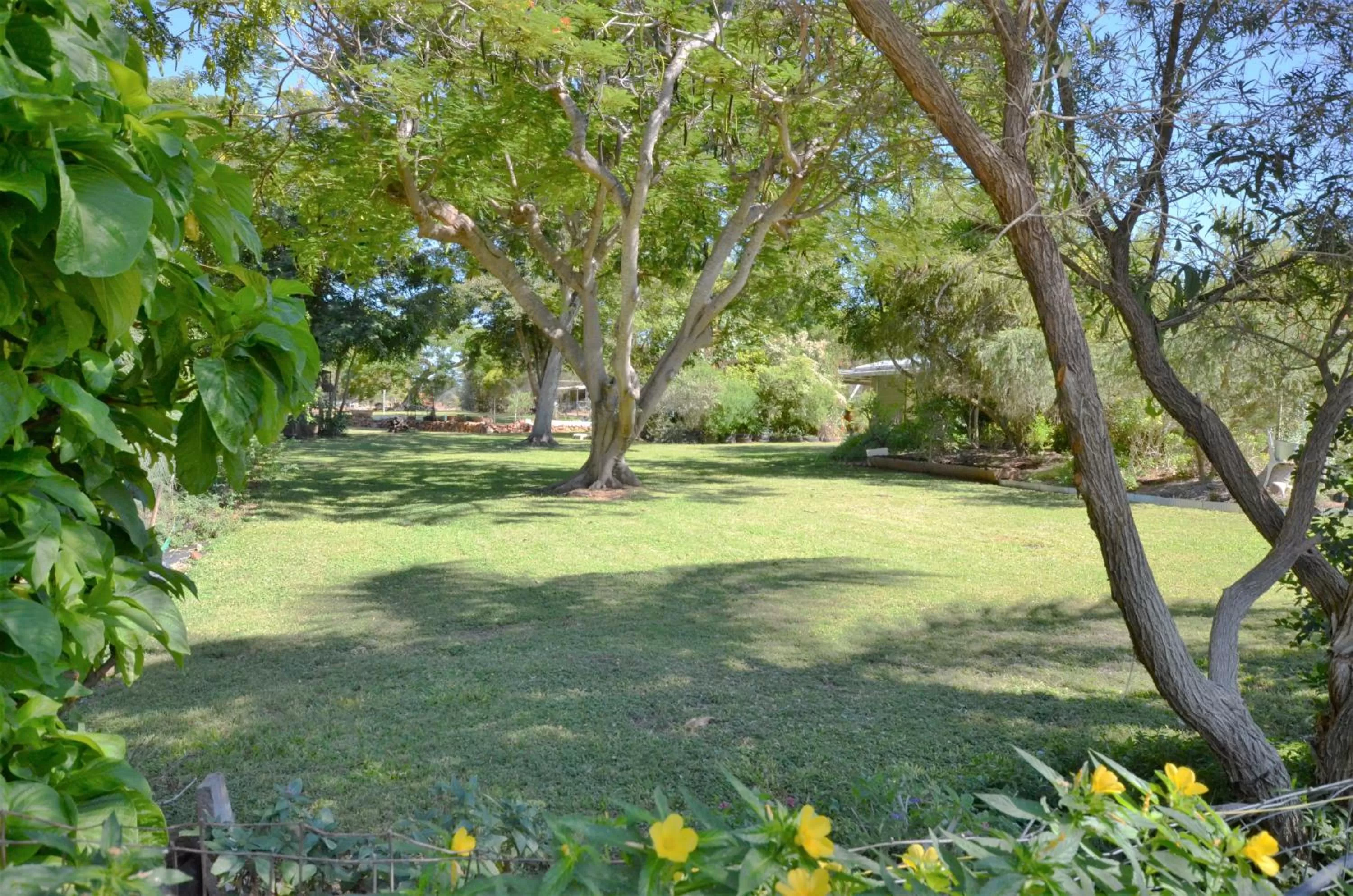 Garden in Gold City Motel