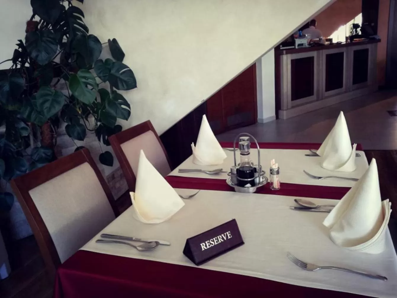 Food and drinks in Hotel Trebjesa