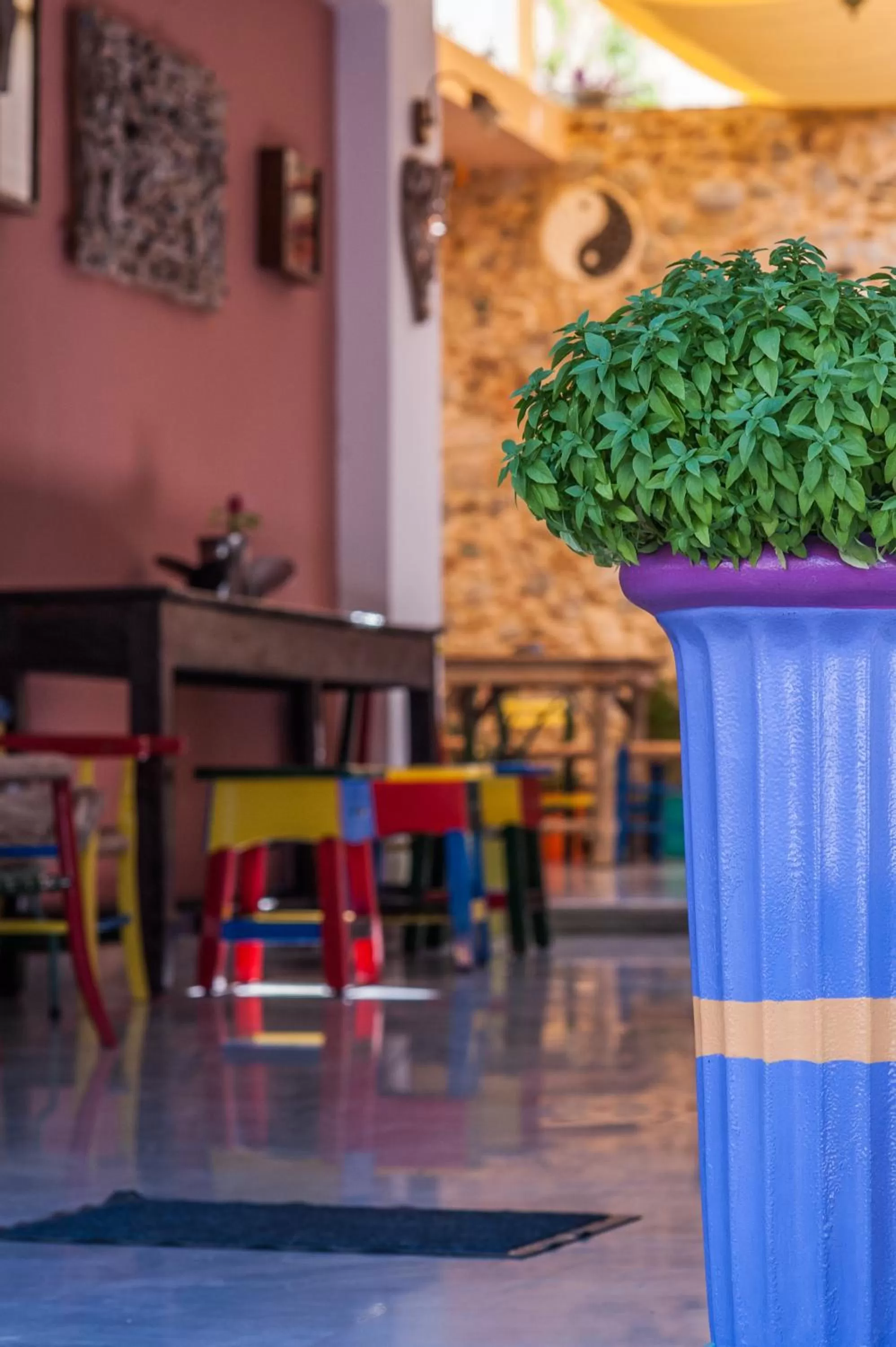 Area and facilities in Poco Loco Bed & Breakfast