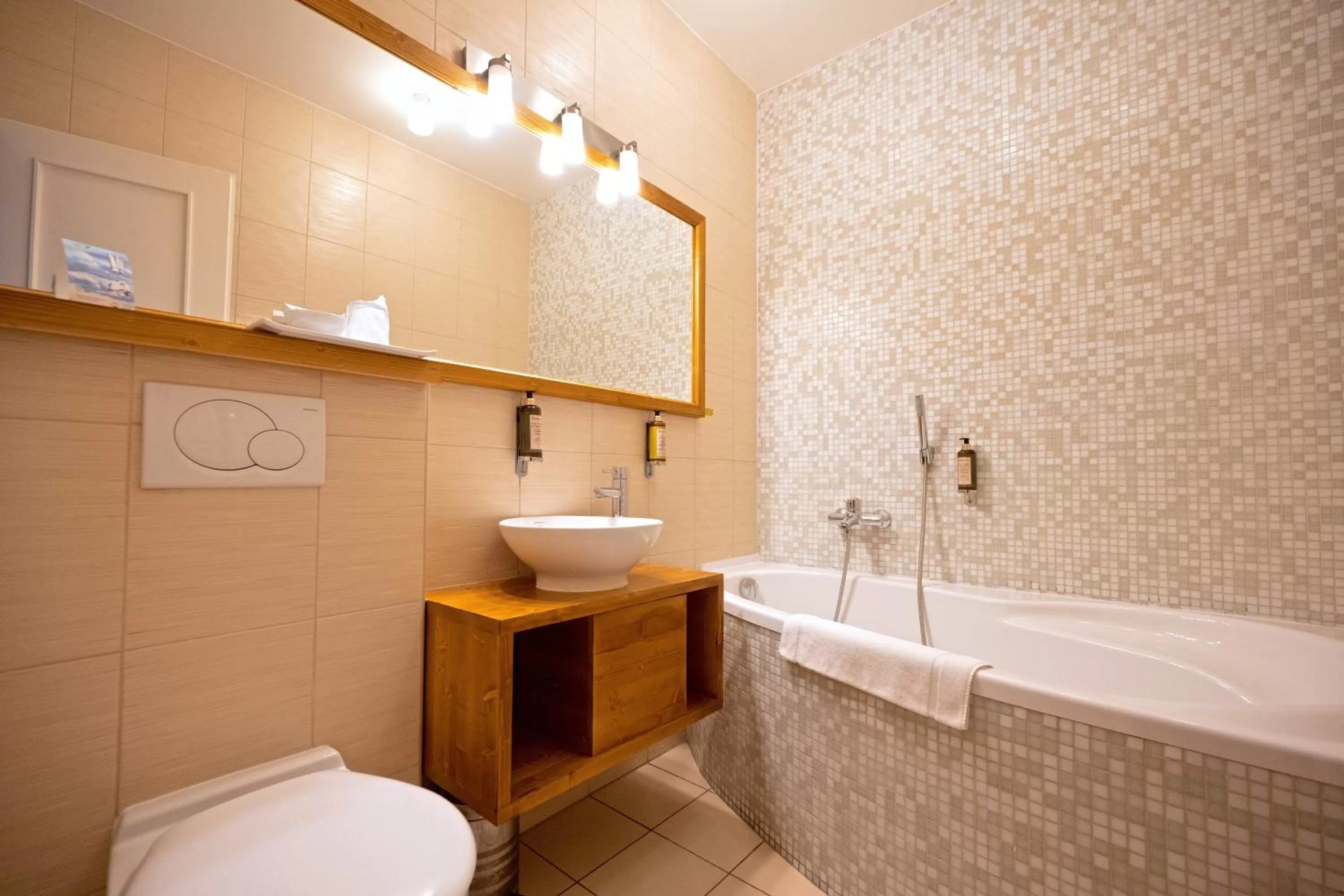 Toilet in Grand Hotel Trenčin