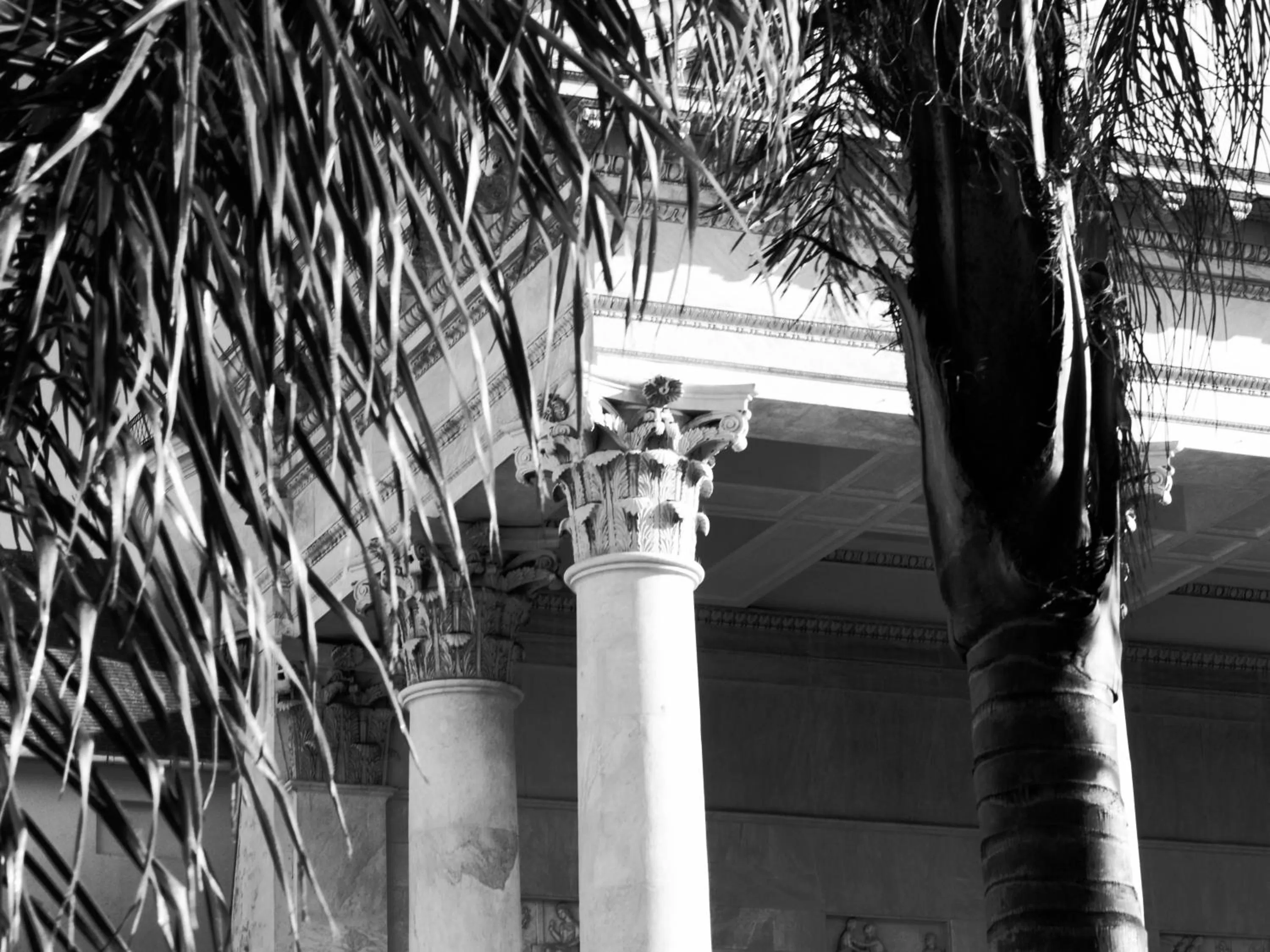 Area and facilities in Hotel Monte Rosa