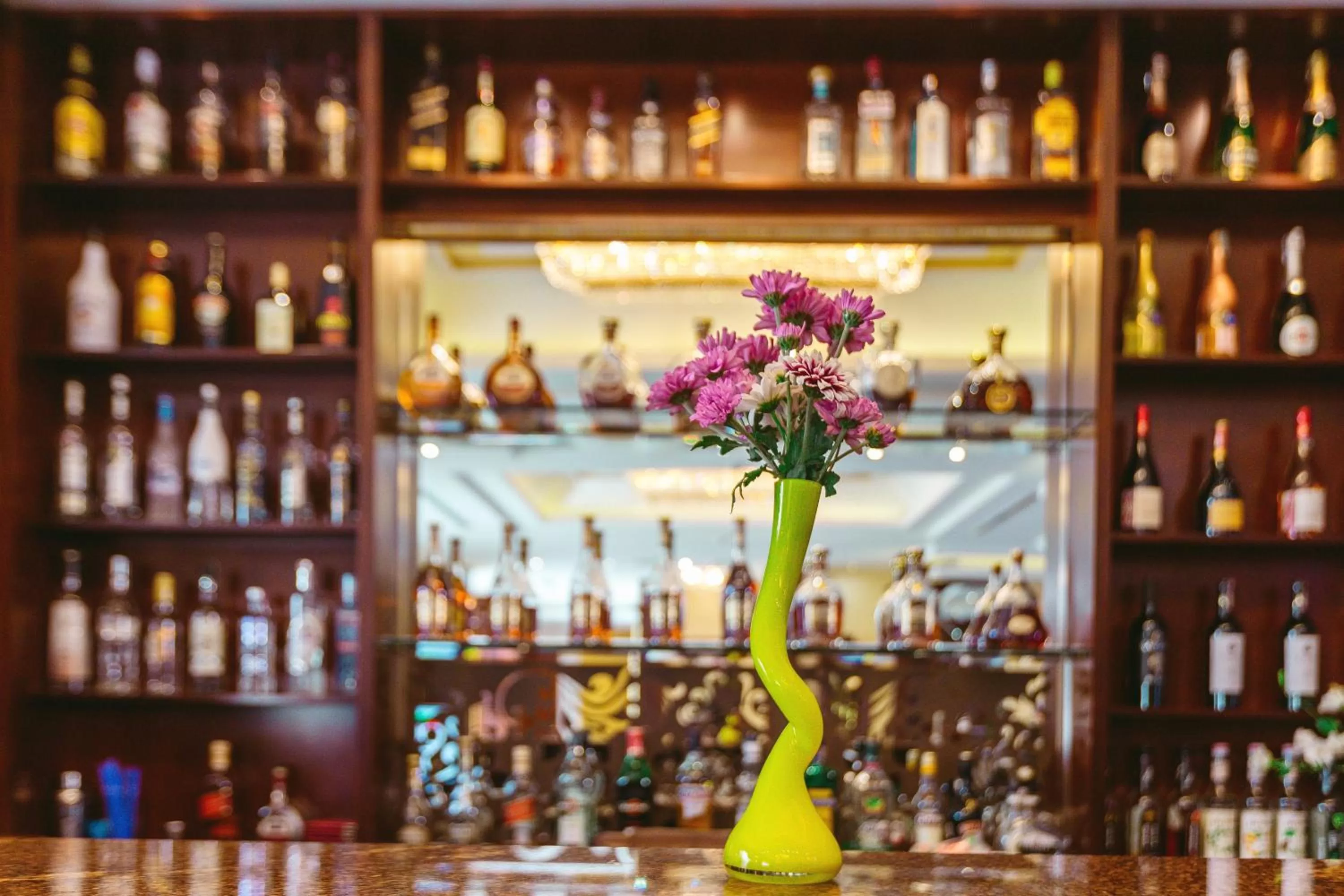 Lounge or bar in Spa Hotel Grace Forum