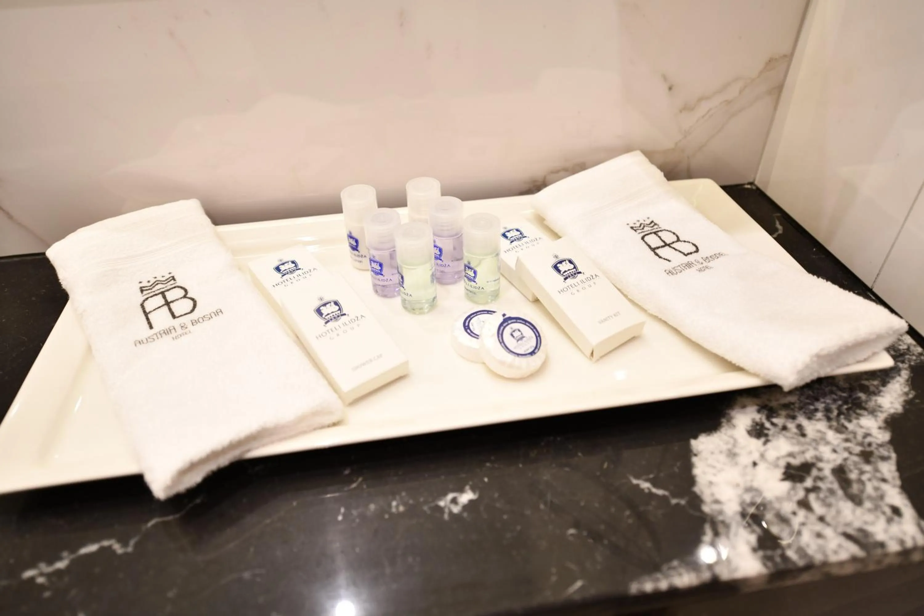 Area and facilities in Hotel Austria & Bosna