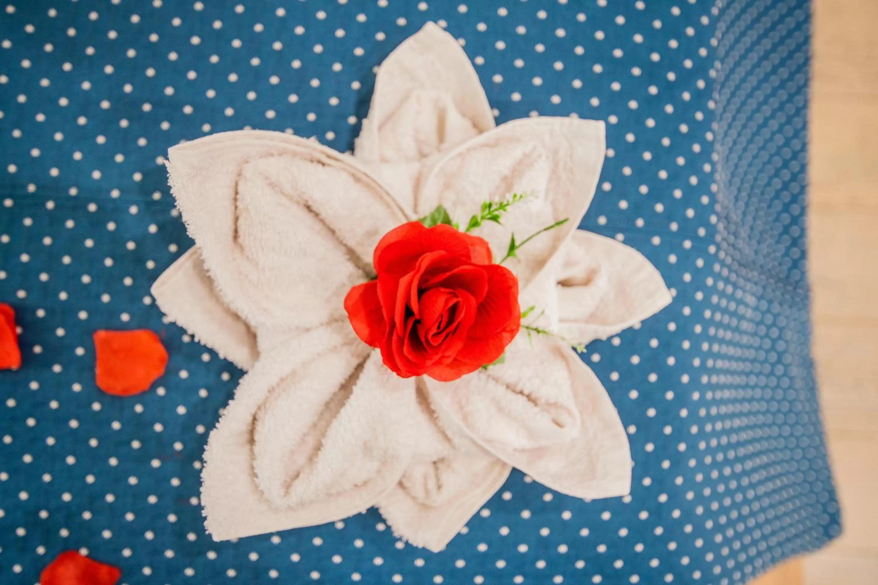 Decorative detail in Le suite del nostromo