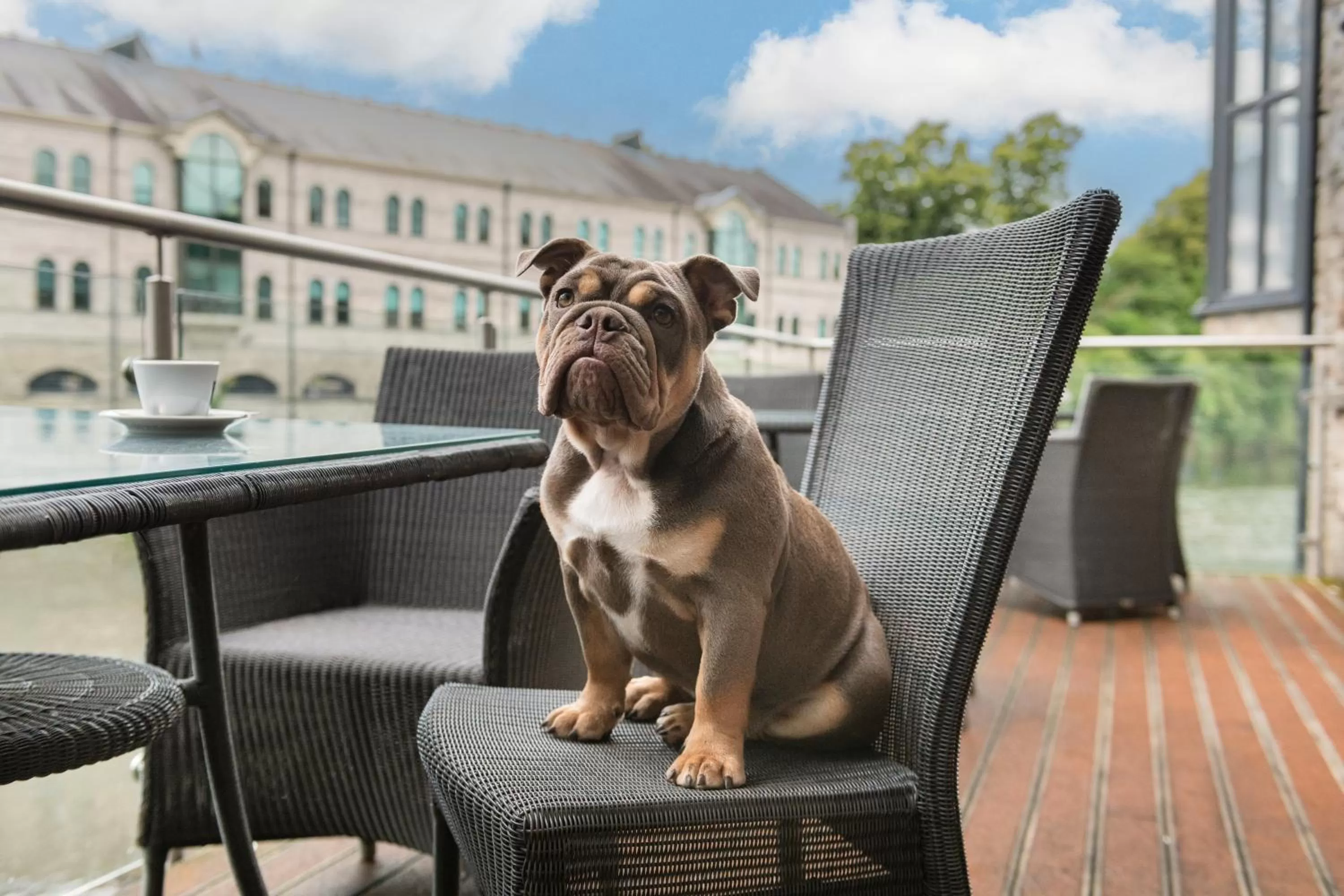 Property building in The Riverside