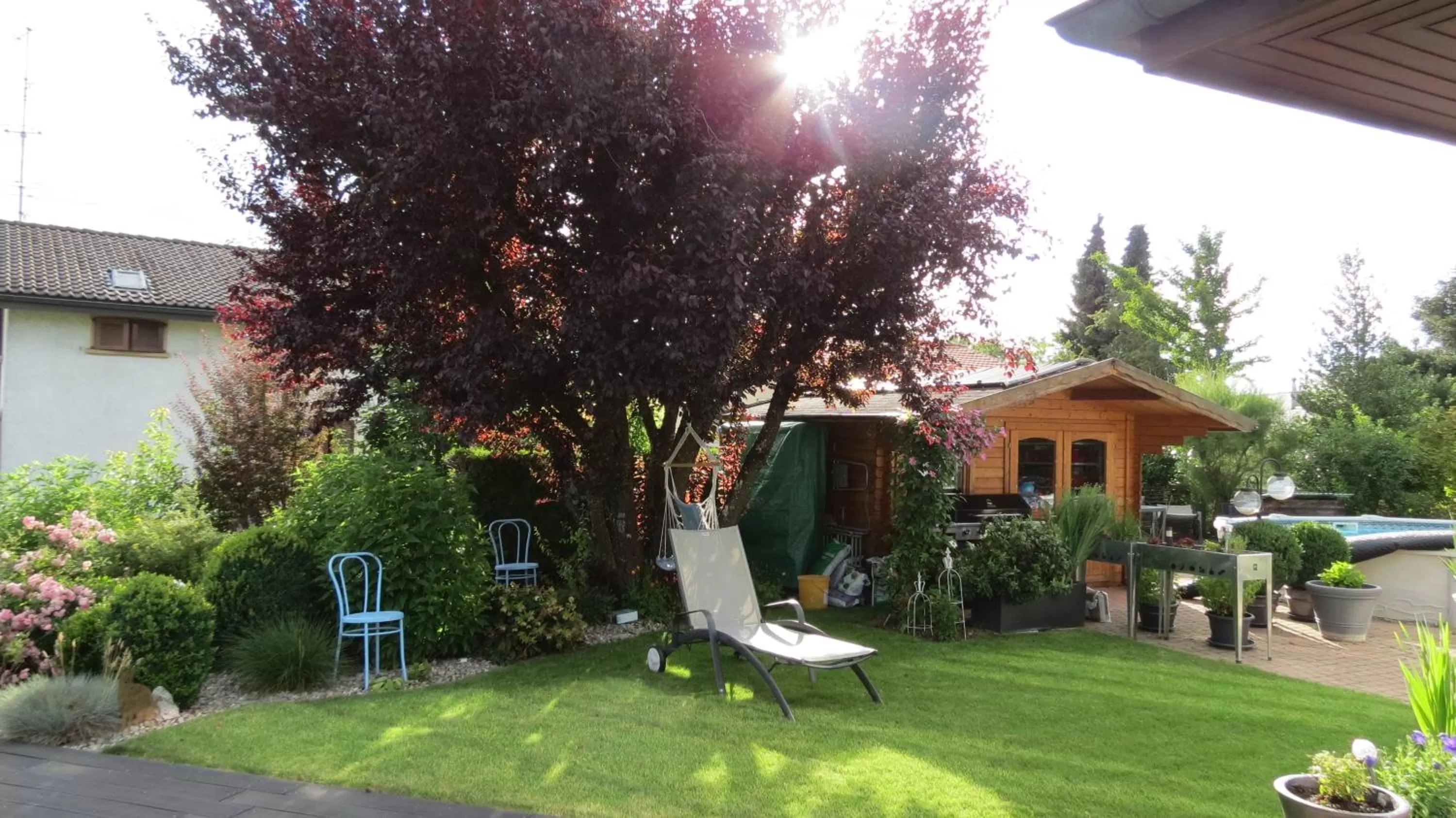 Garden in B&B Andrey