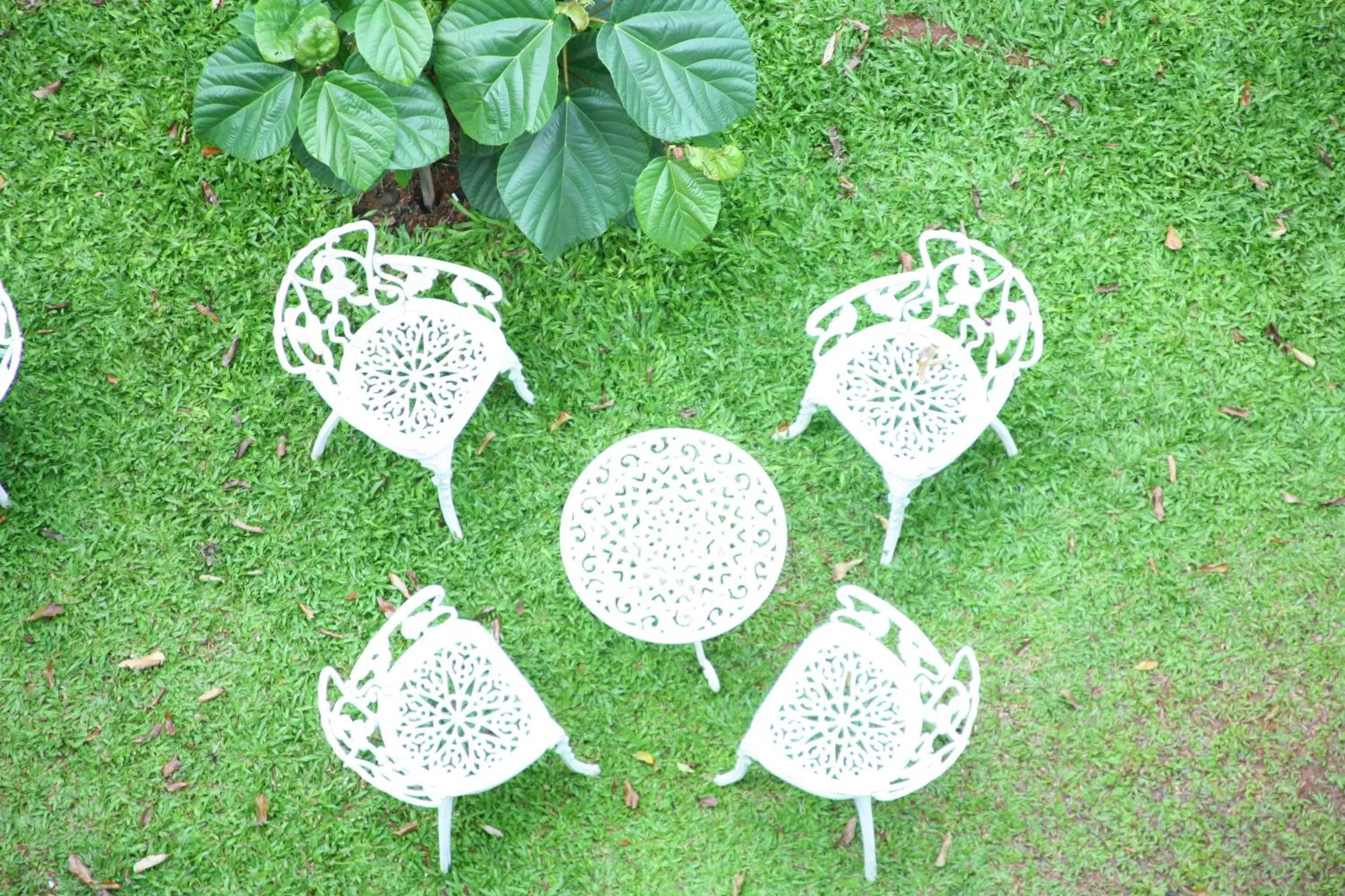 Restaurant/places to eat in Tea Harvester