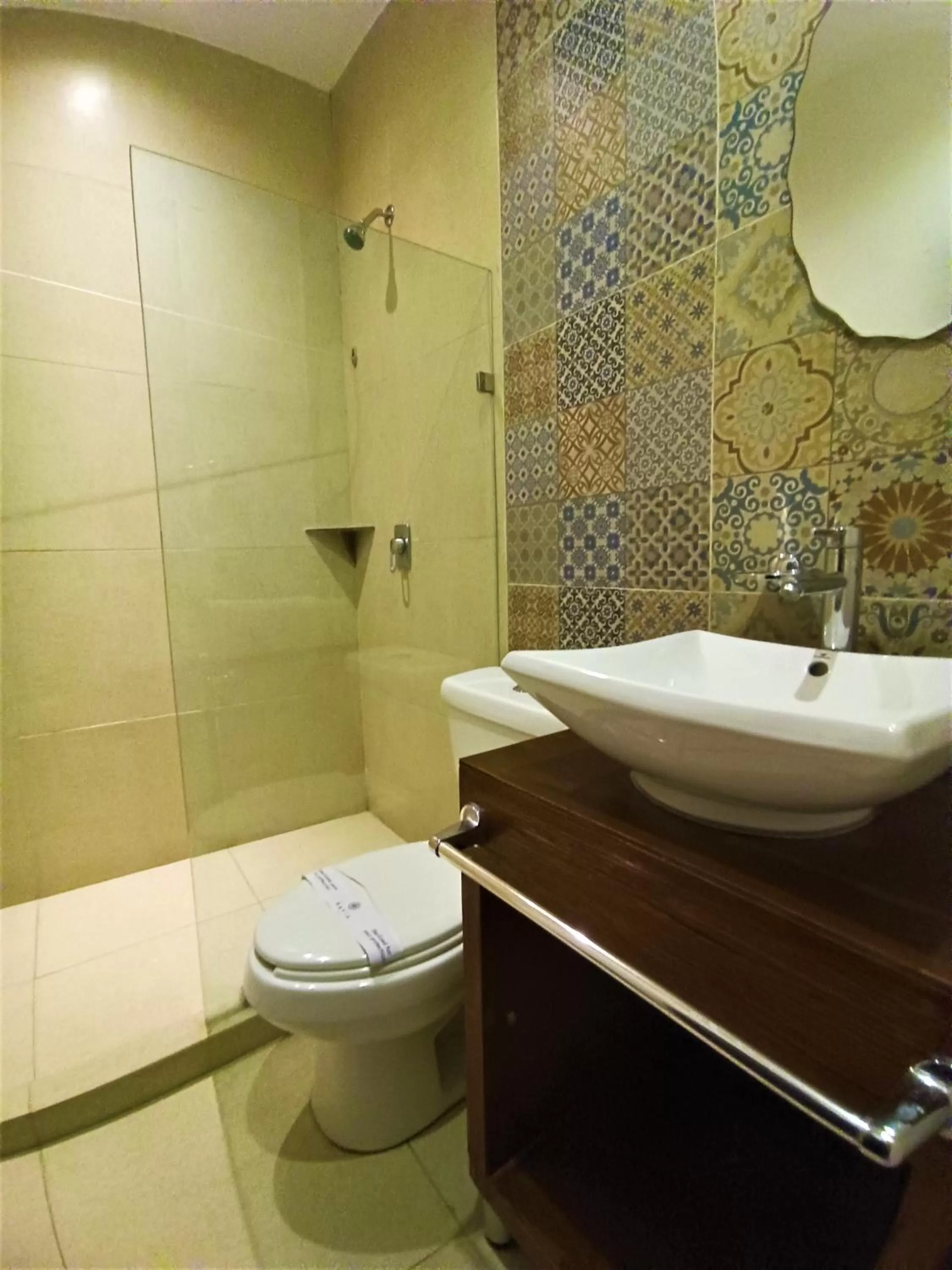 Shower in Hotel Merida