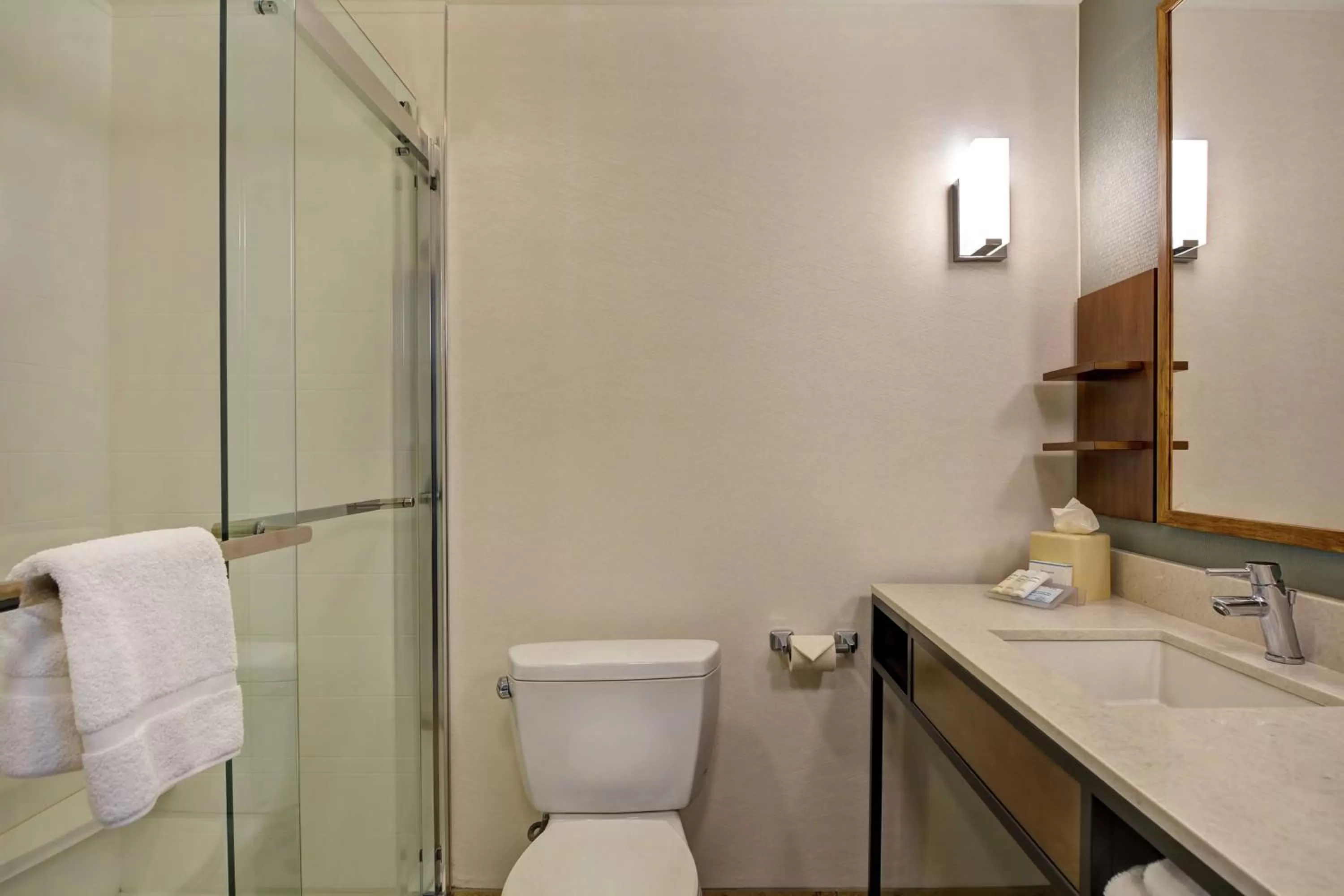 Bathroom in Hilton Garden Inn Mobile East Bay / Daphne