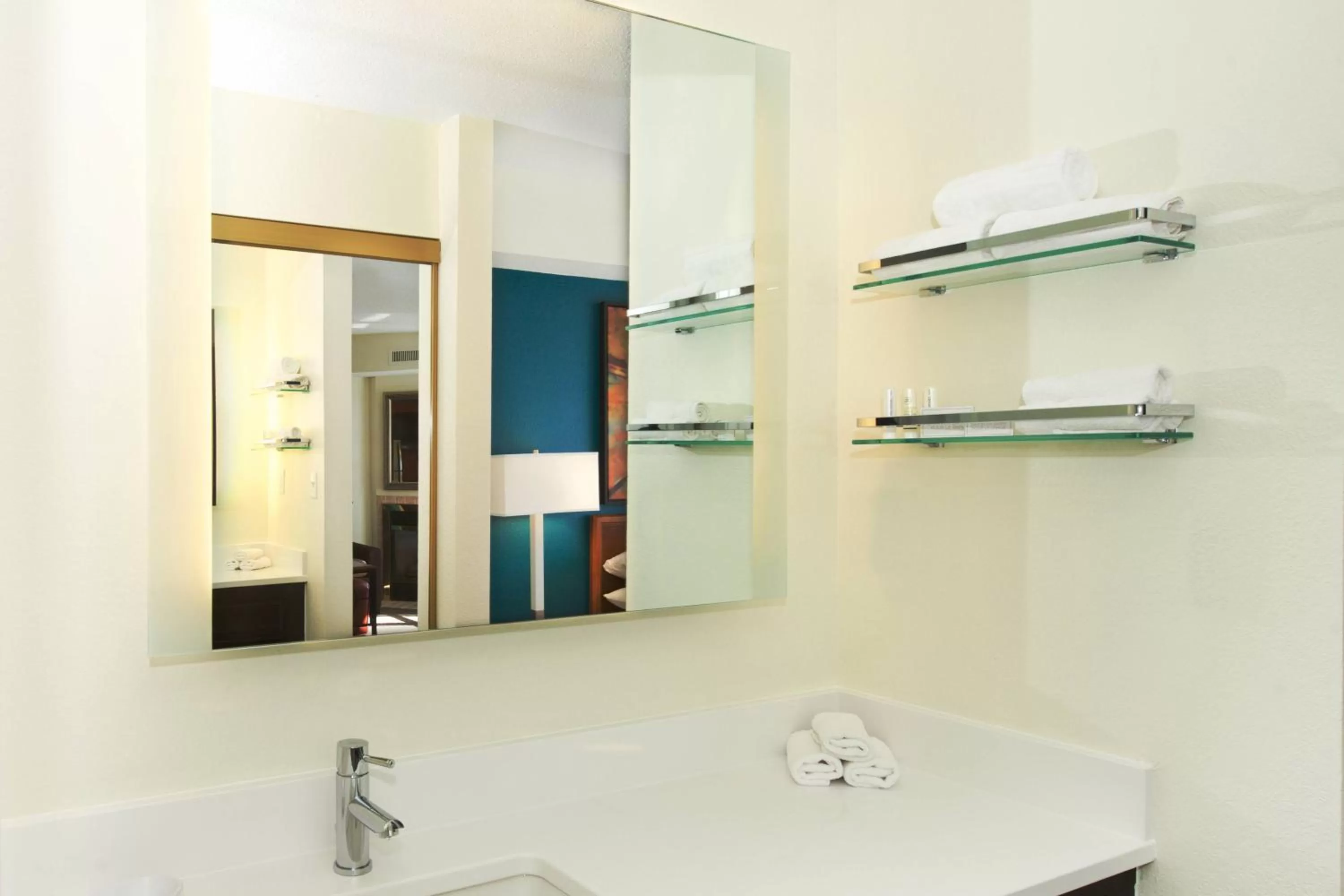 Bathroom in Residence Inn by Marriott Evansville East