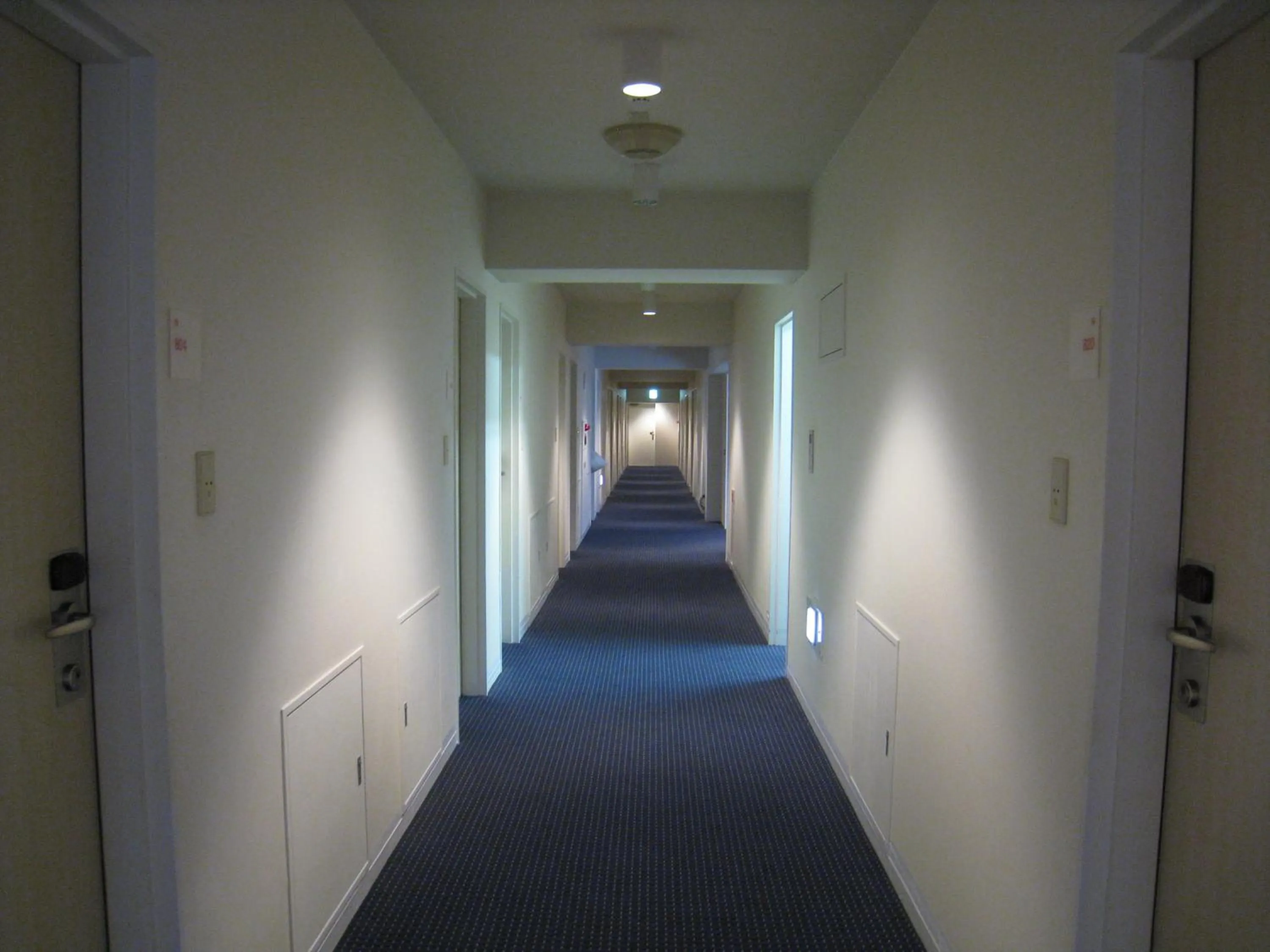 Other in Rembrandt Style Tokyo Nishikasai