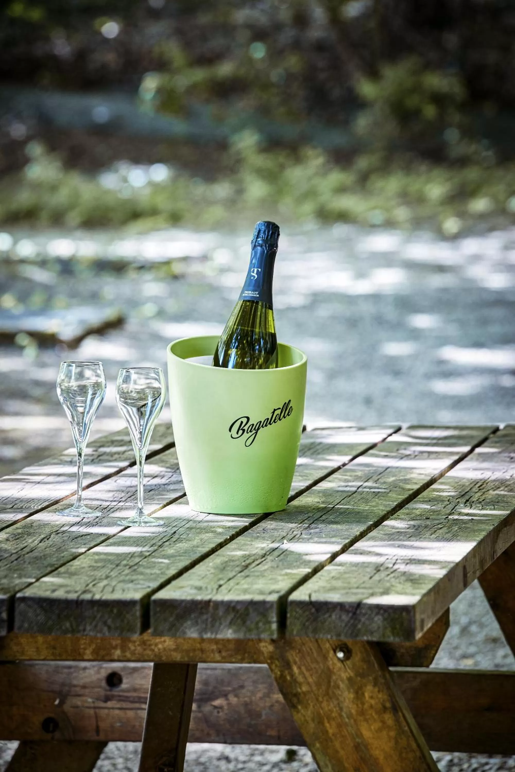 Garden in Logis Bagatelle - 51530 Dizy