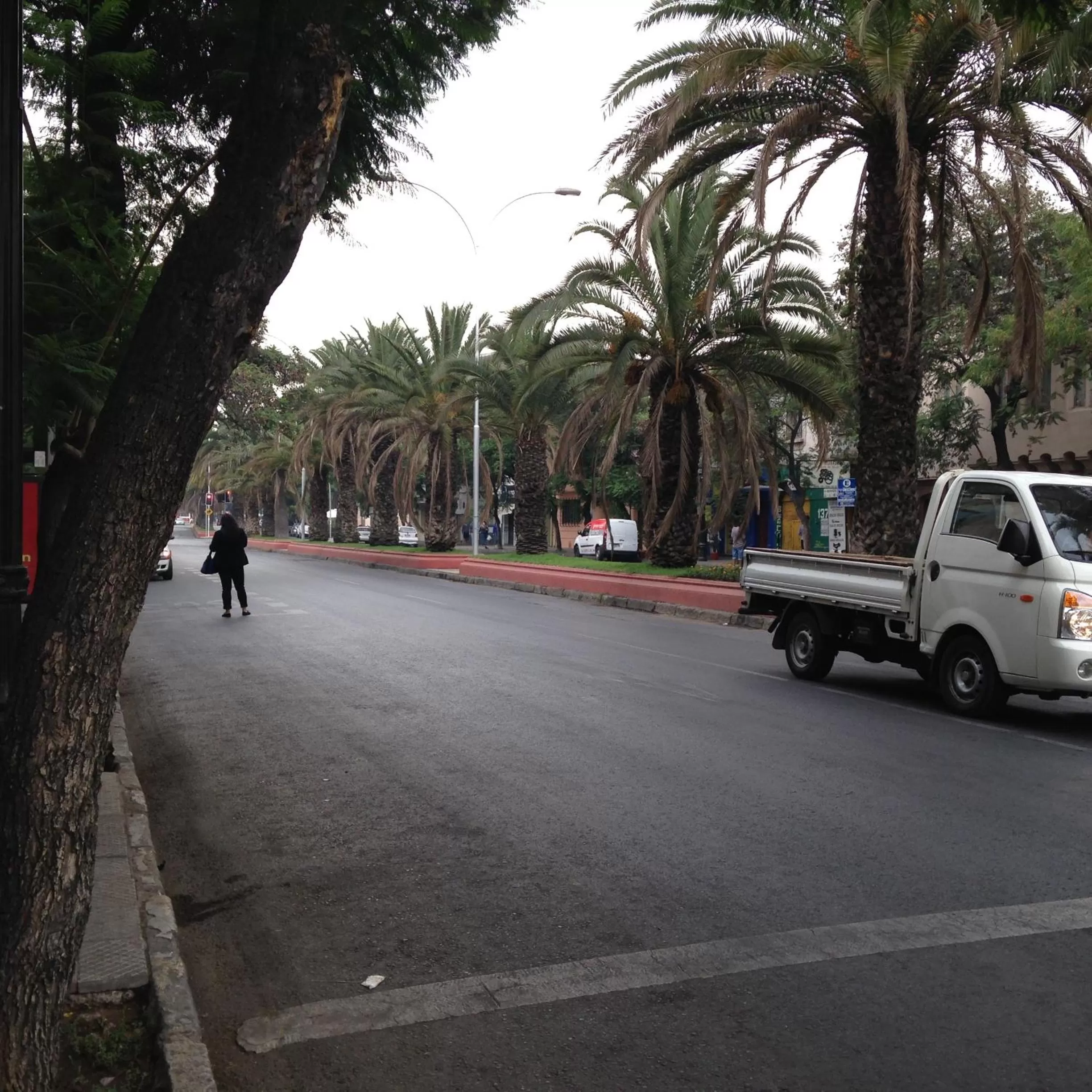 Area and facilities in Hotel La Castellana