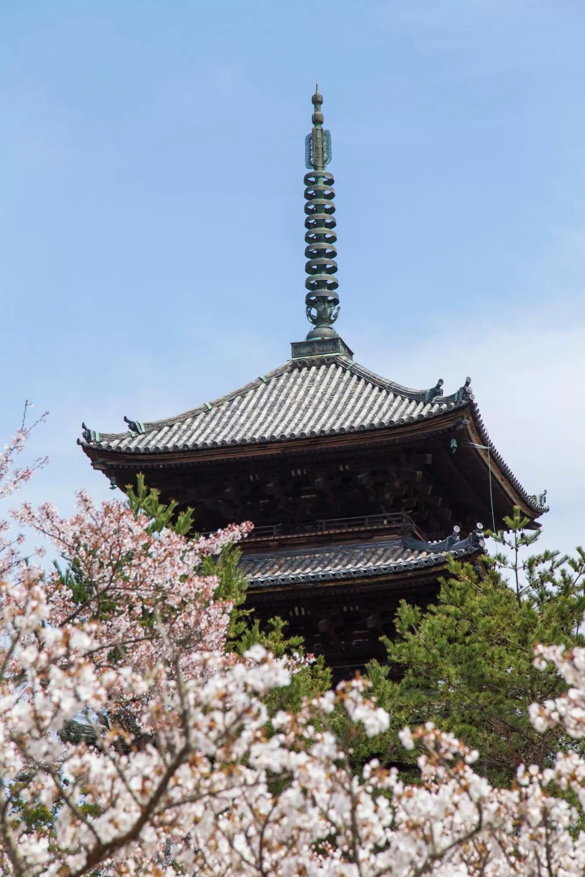 Nearby landmark in Urban Hotel Kyoto