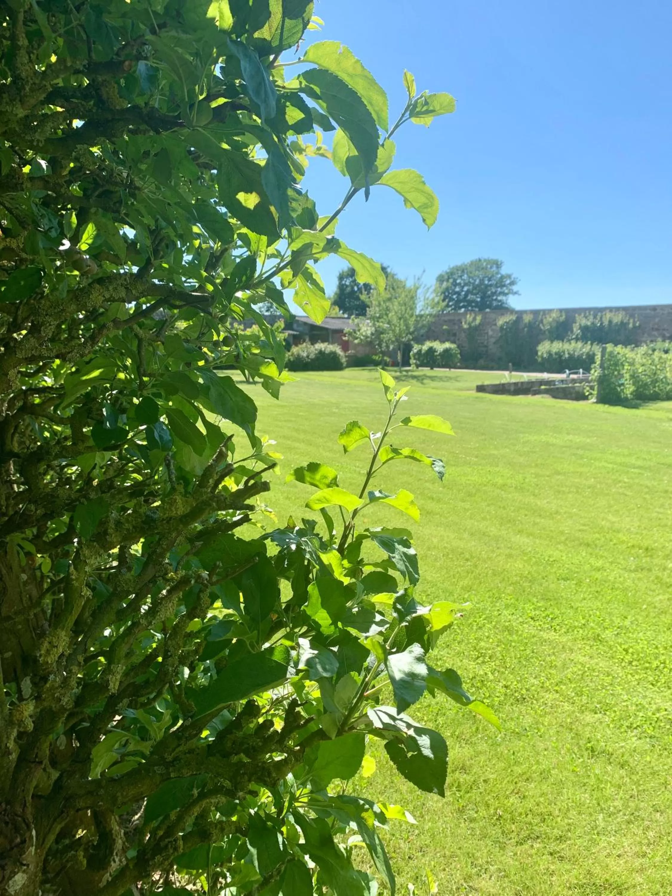 Garden in LA MEFFRAIS 1741
