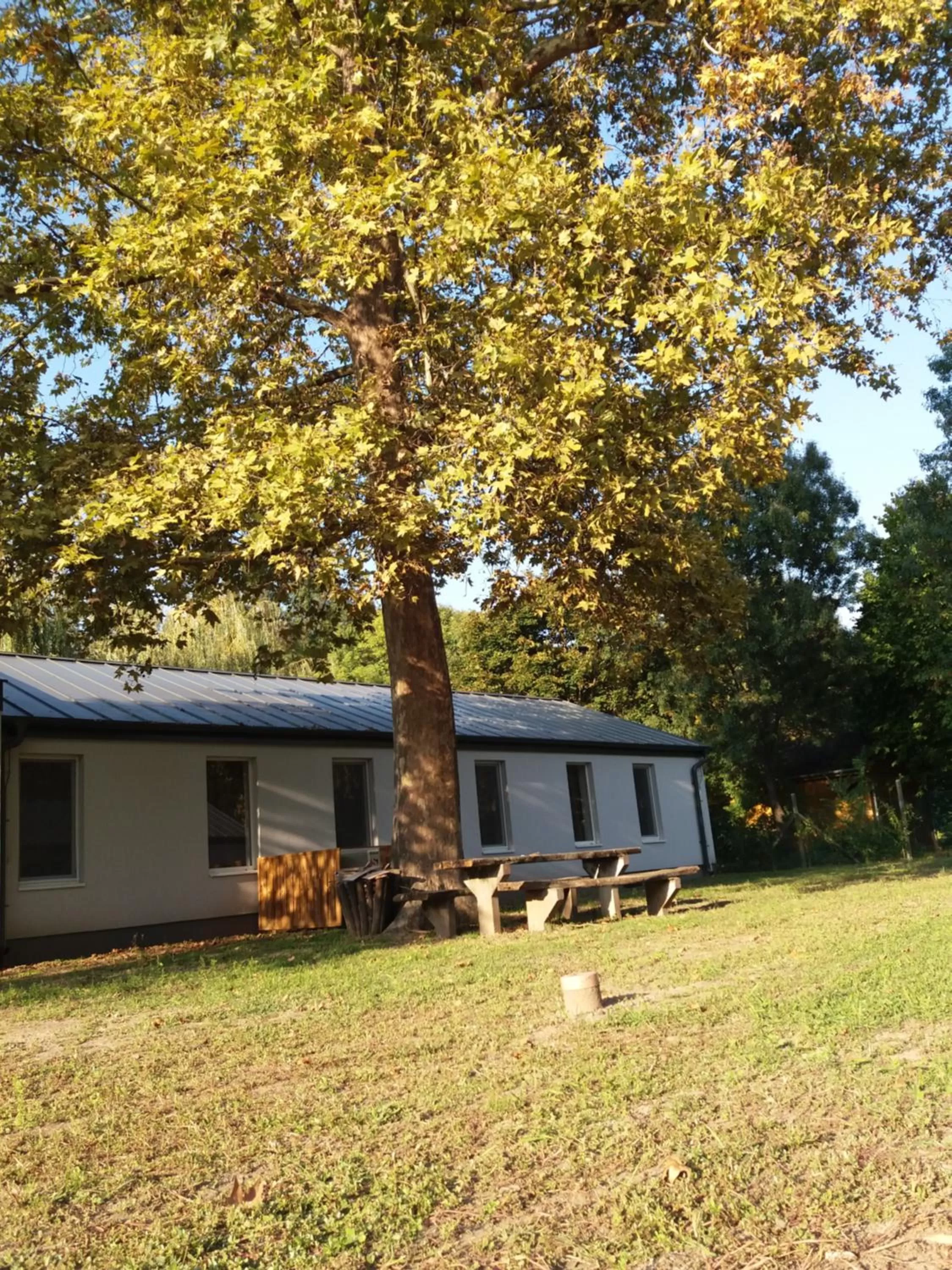 Garden, Property Building in Tiszaliget Apartman és Szálló