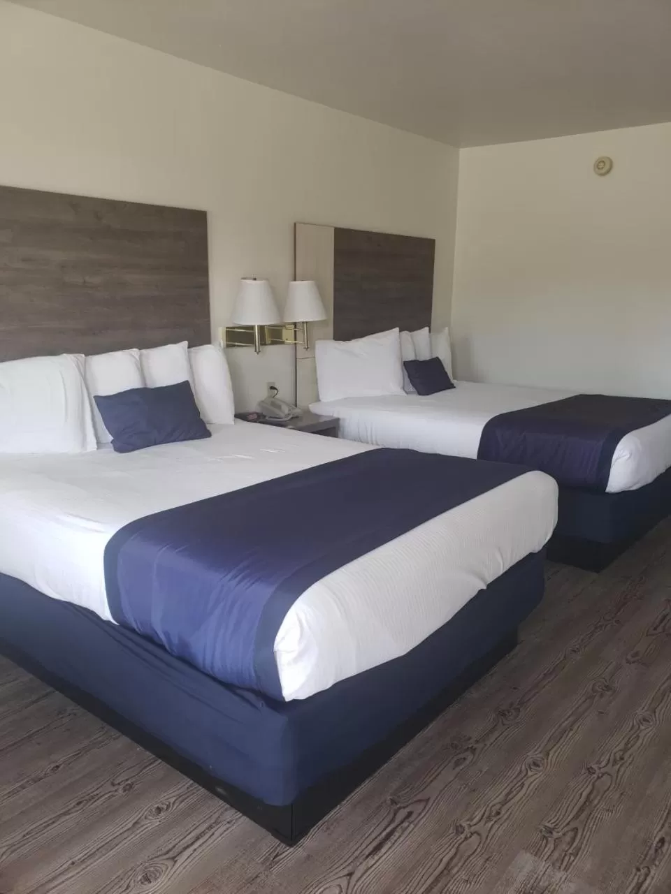 Bedroom, Bed in The Atomic Blue Motor-Inn