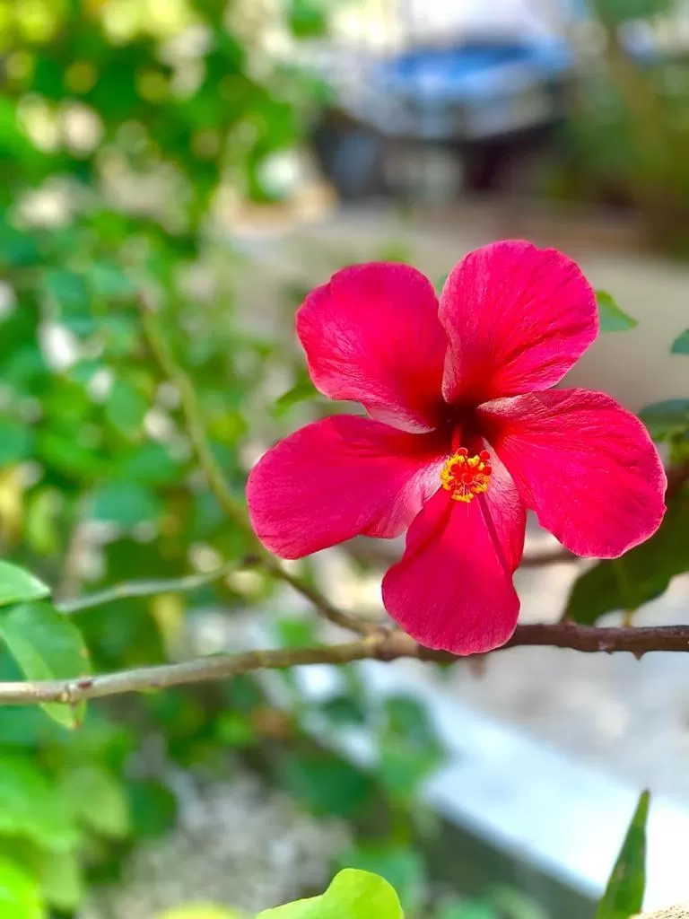 Property building in Corona del Mar