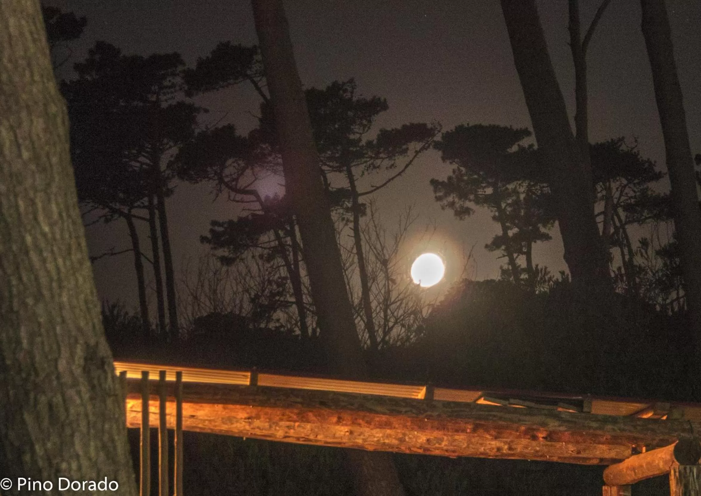 View (from property/room), Sunrise/Sunset in Pino Dorado