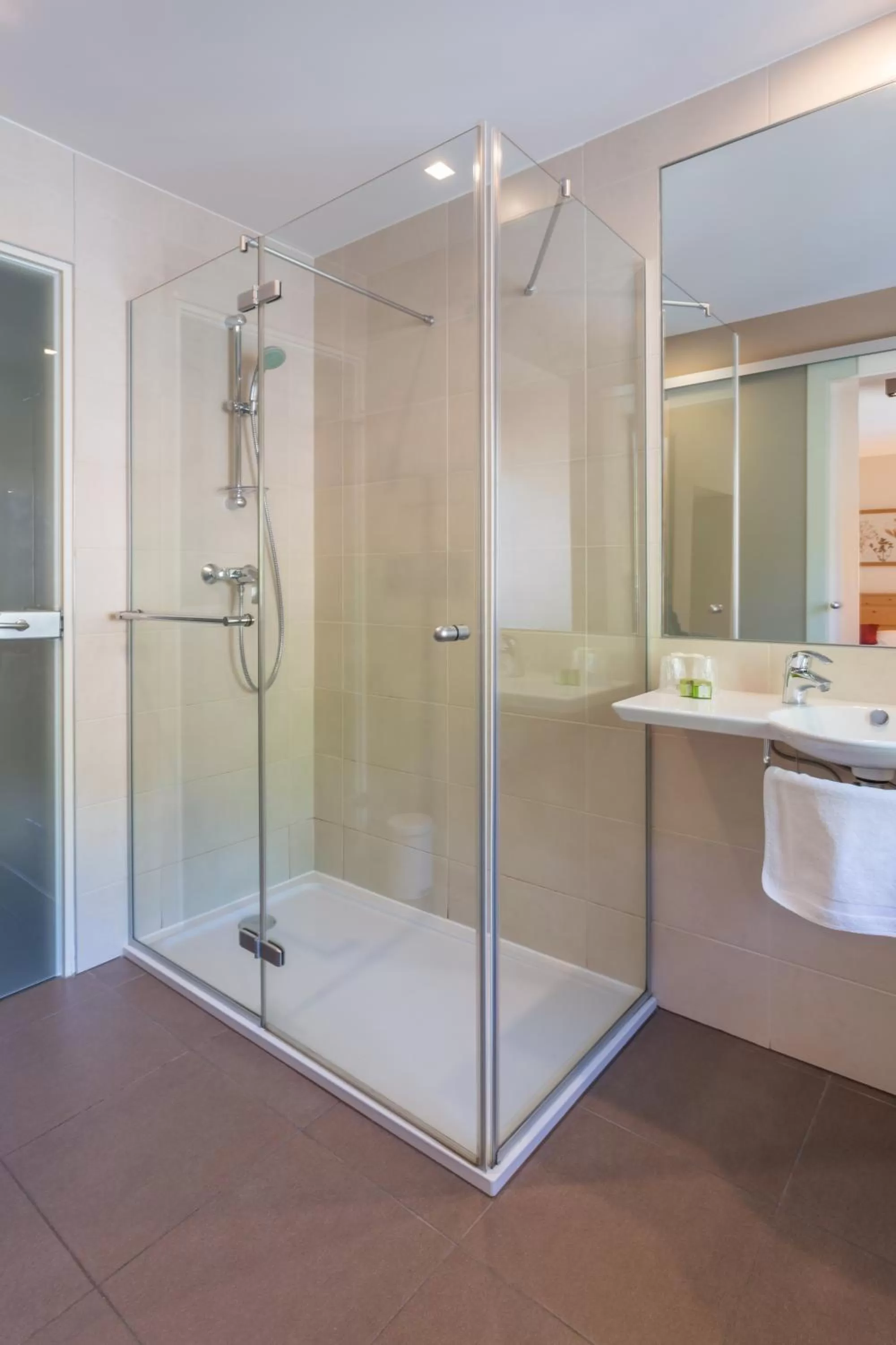 Shower in L'AO Hôtel & Restaurant L'Aigle d'Or