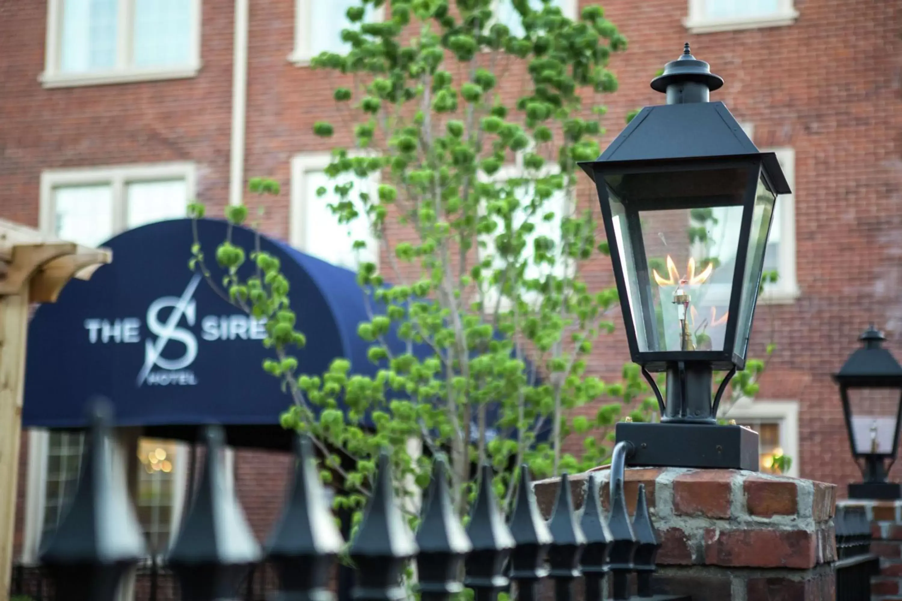 The Sire Hotel Lexington, Tapestry Collection by Hilton The Sire Hotel Lexington, Tapestry Collection by Hilton