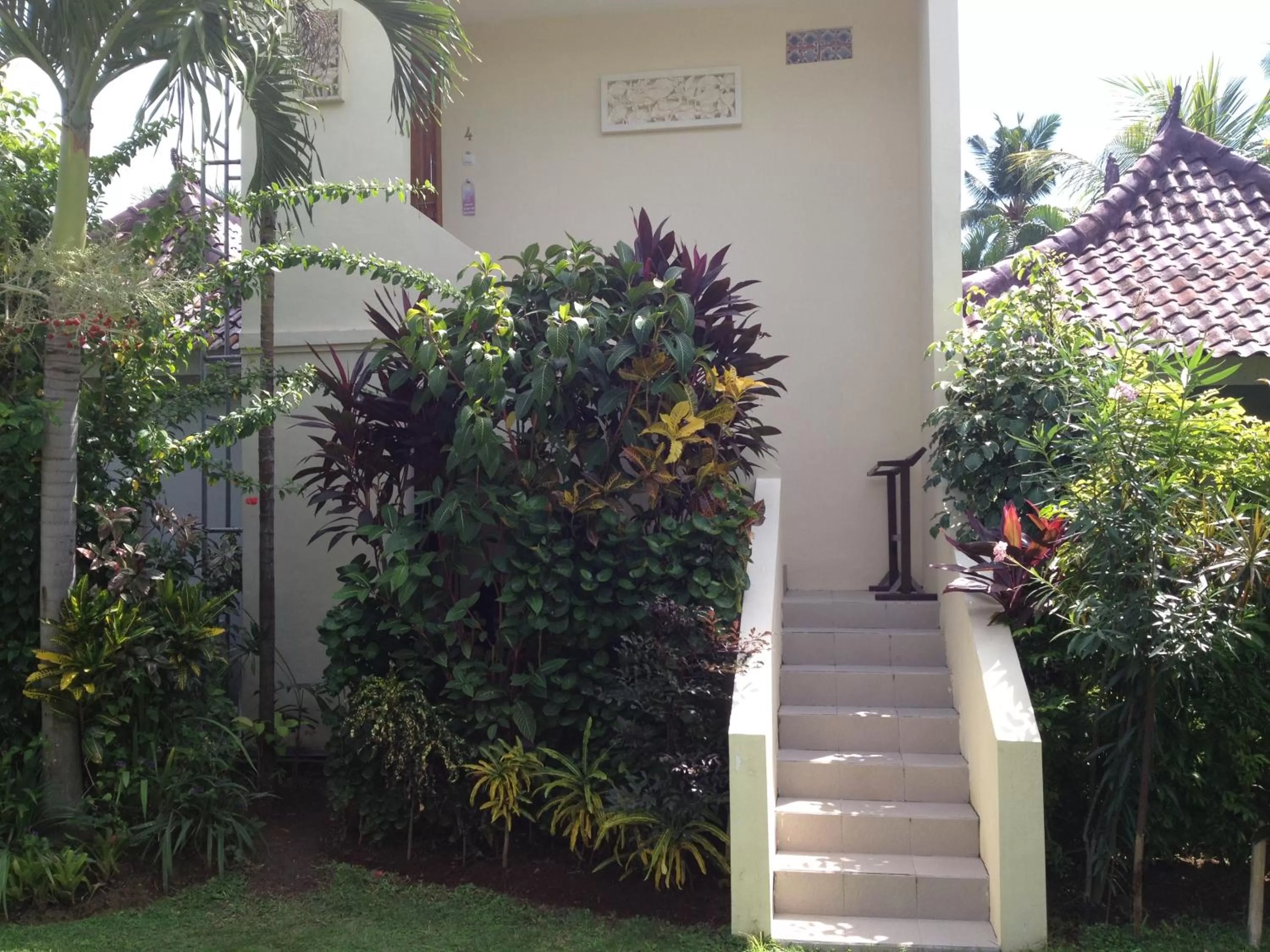 Garden in Astina Hotel