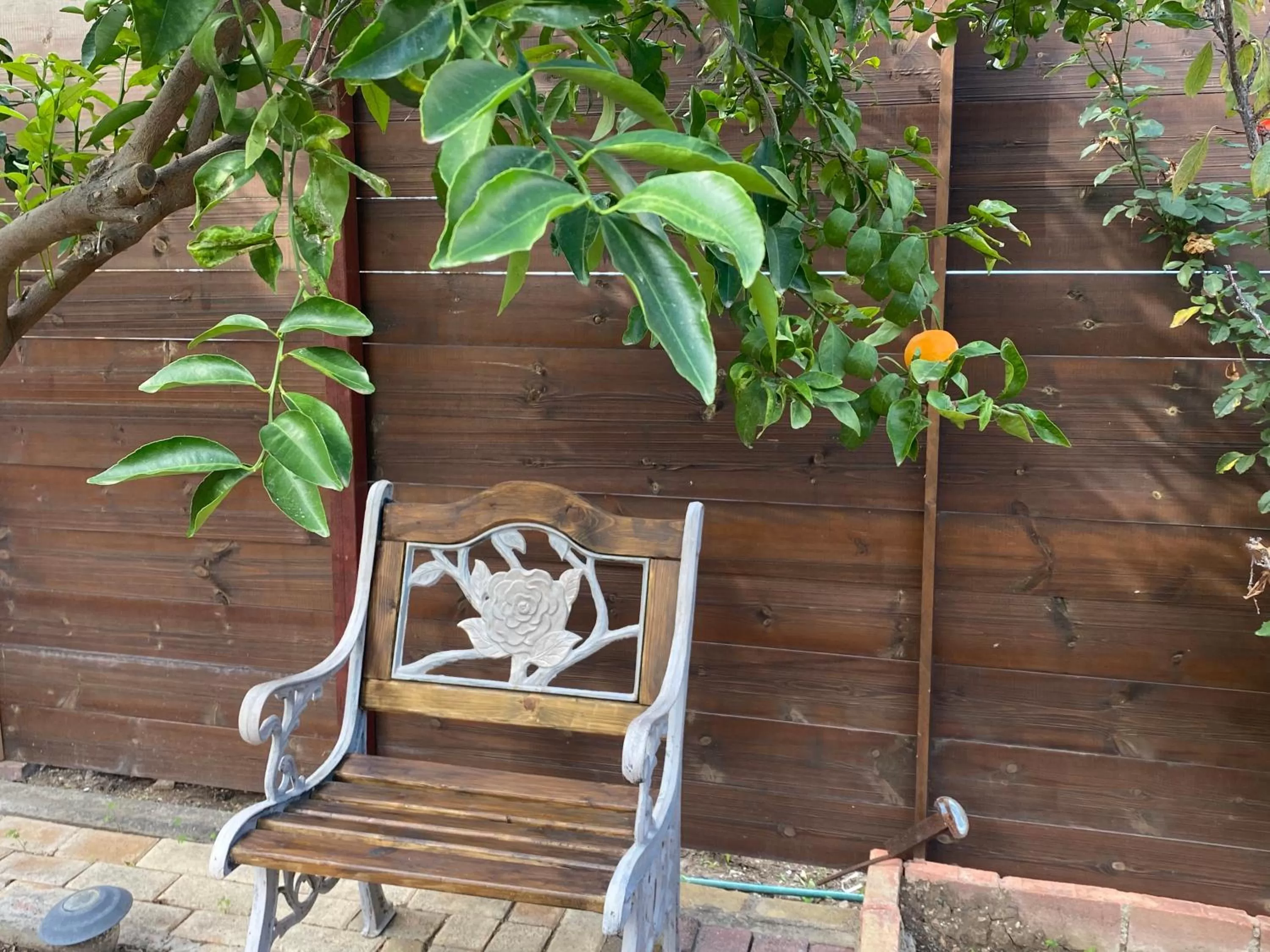 Garden in Sunside Inn Hotel