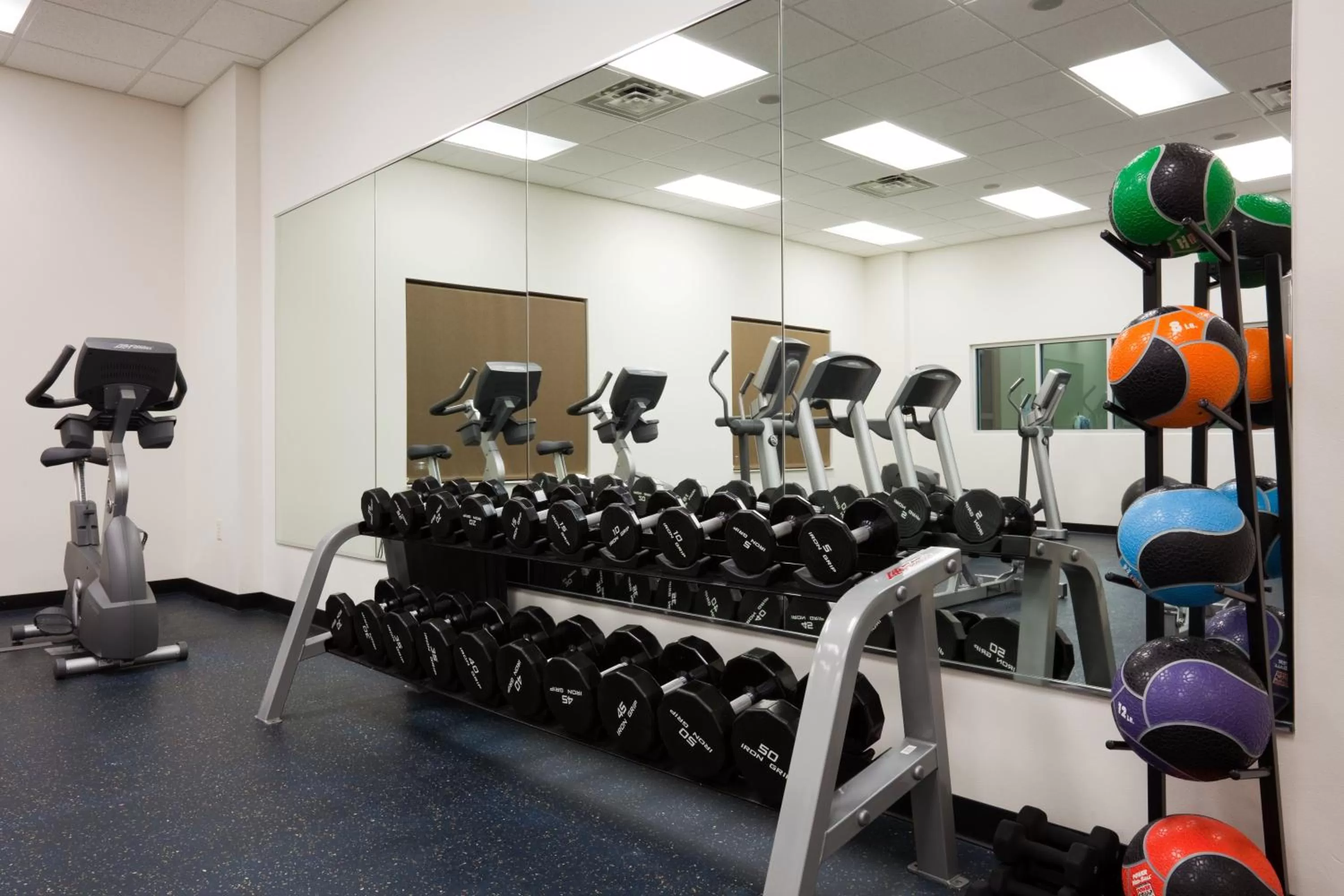 Fitness centre/facilities in Holiday Inn Madison at The American Center by IHG