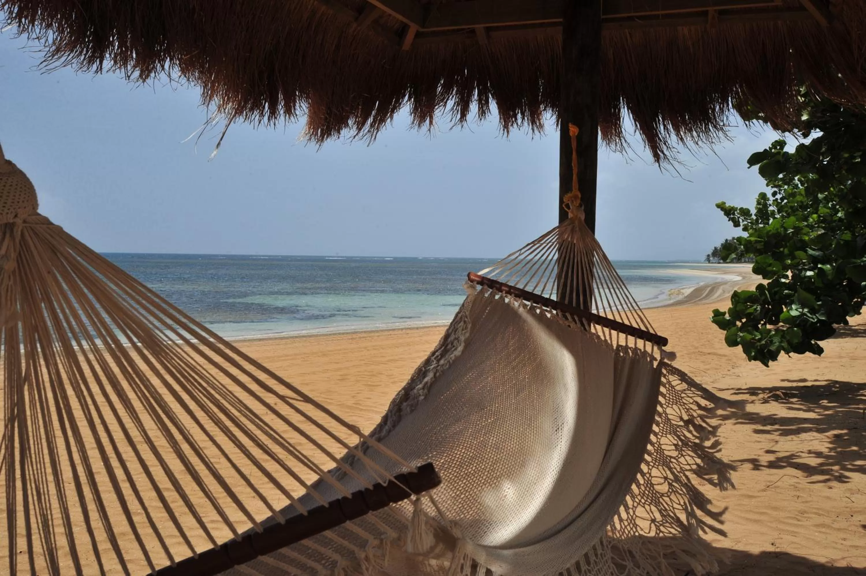 Area and facilities in Xeliter Balcones del Atlantico - Las Terrenas