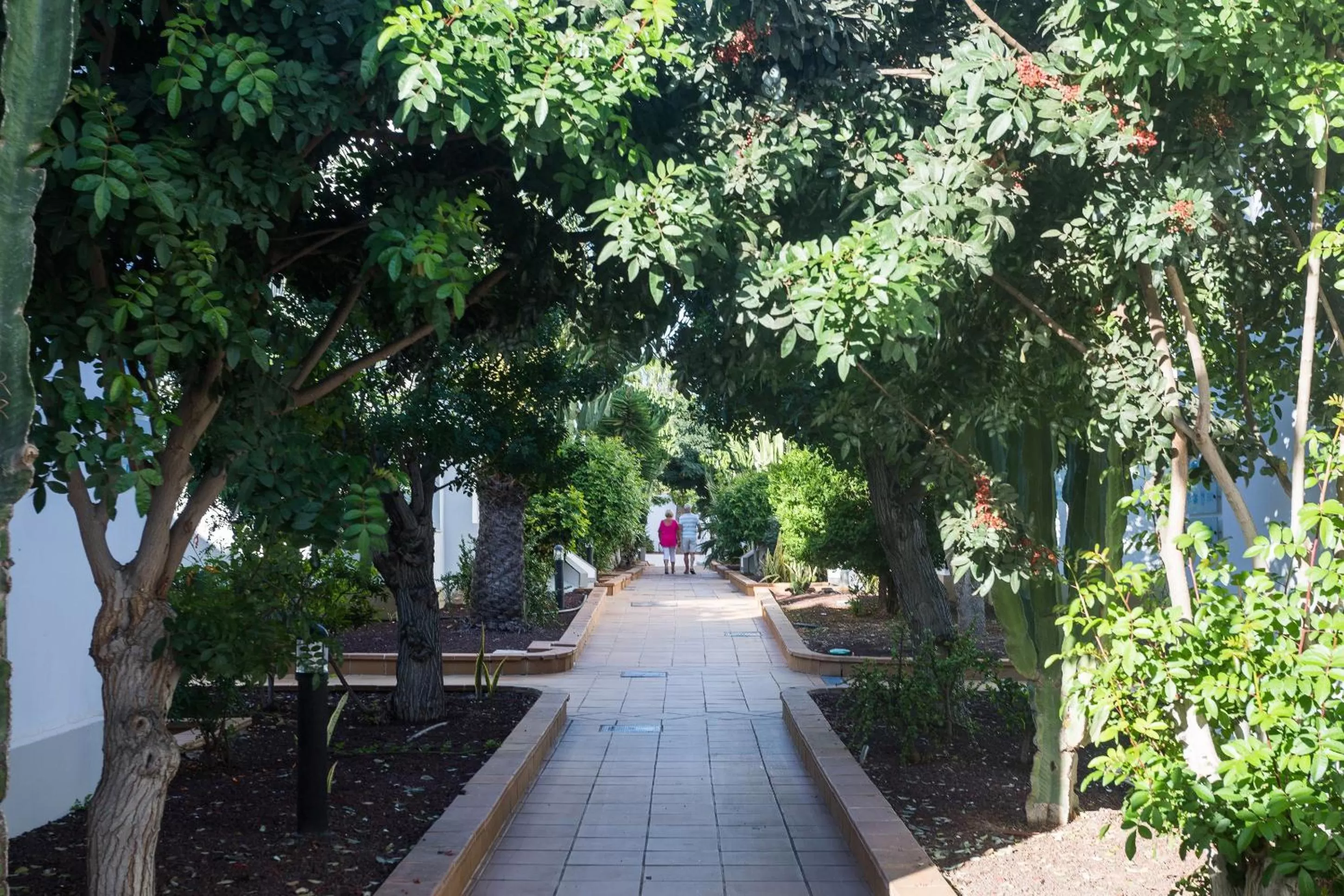 Property building in Hotel Arena Beach