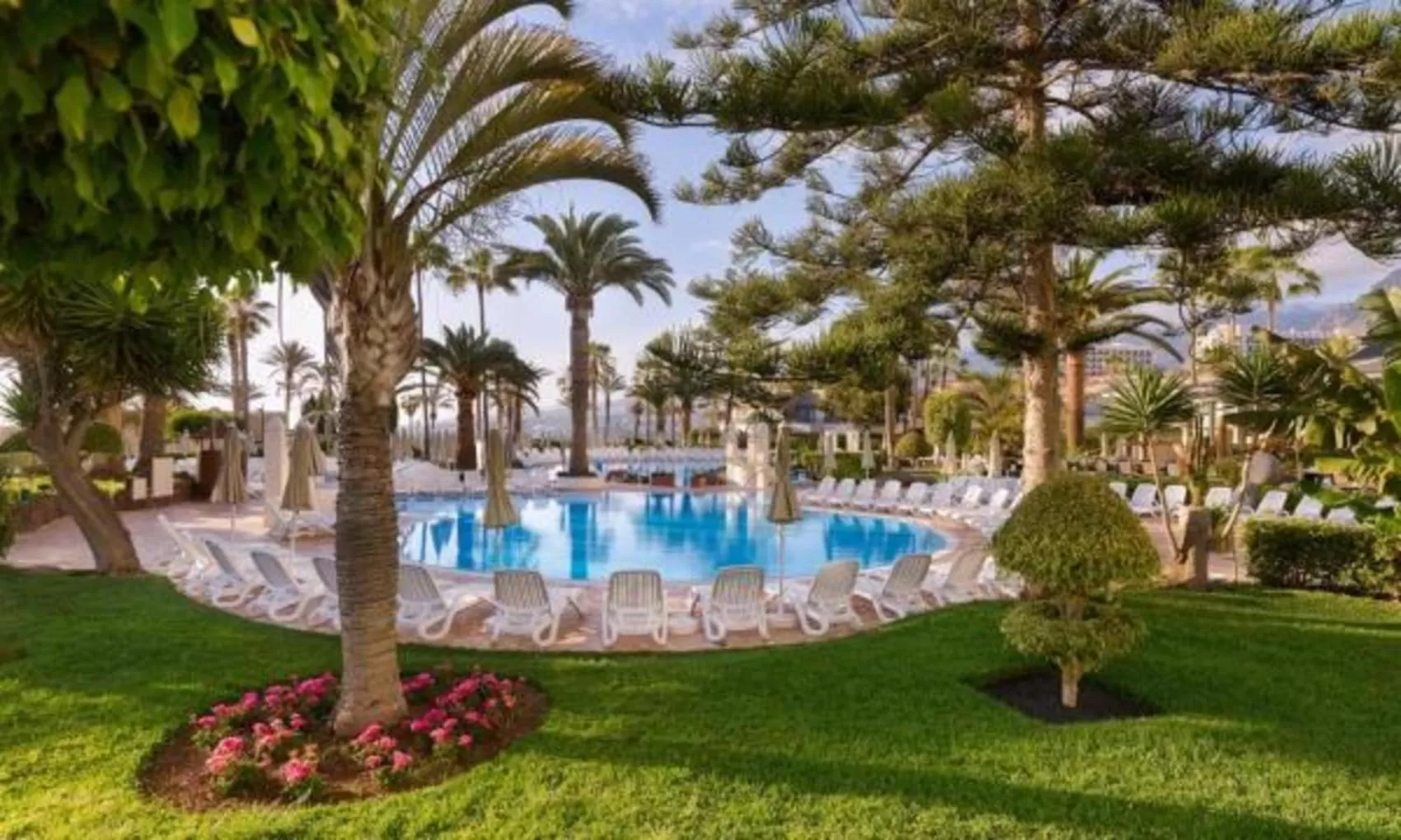 Swimming pool in H10 Las Palmeras